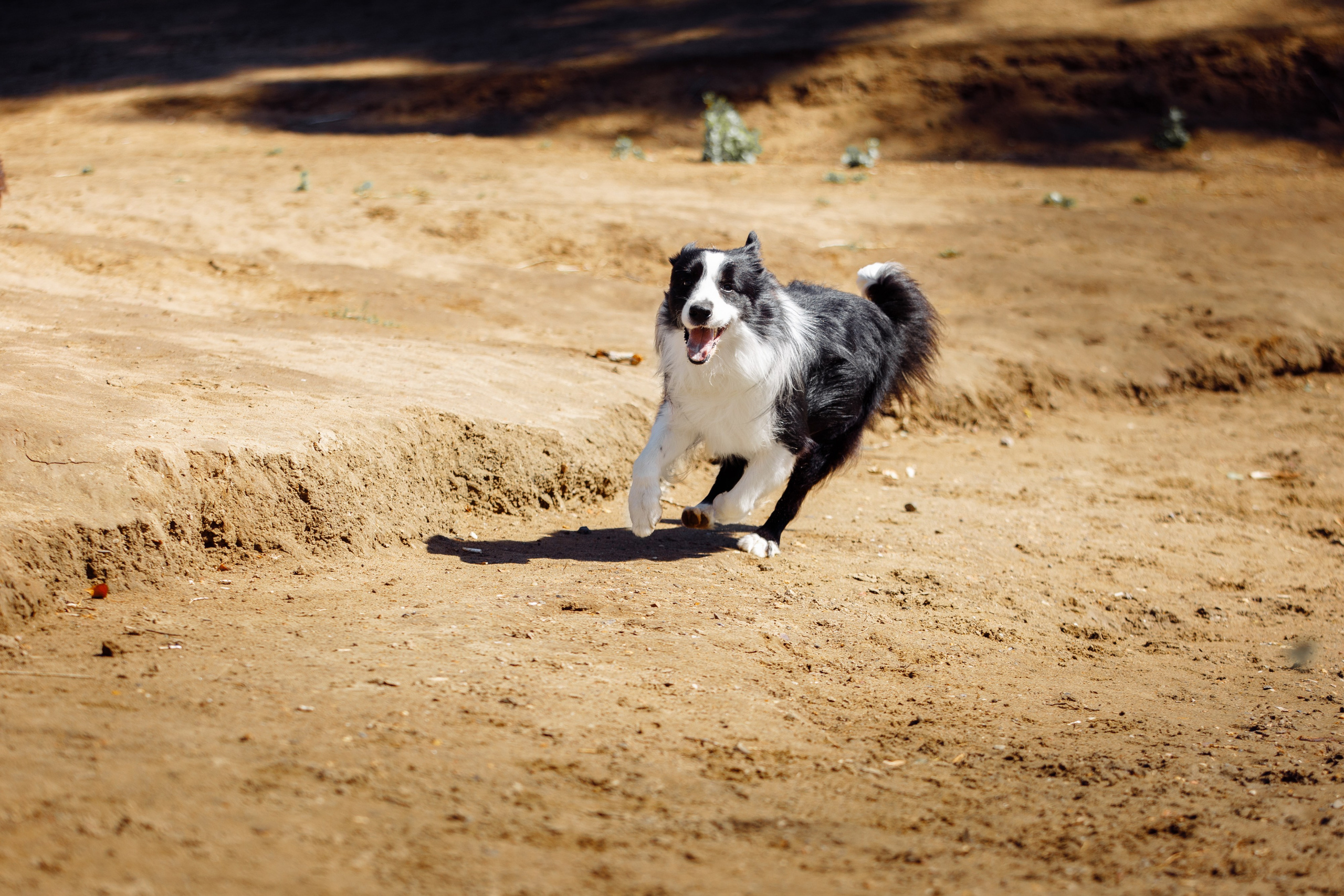 Водяные в Новотроицке. О нас
