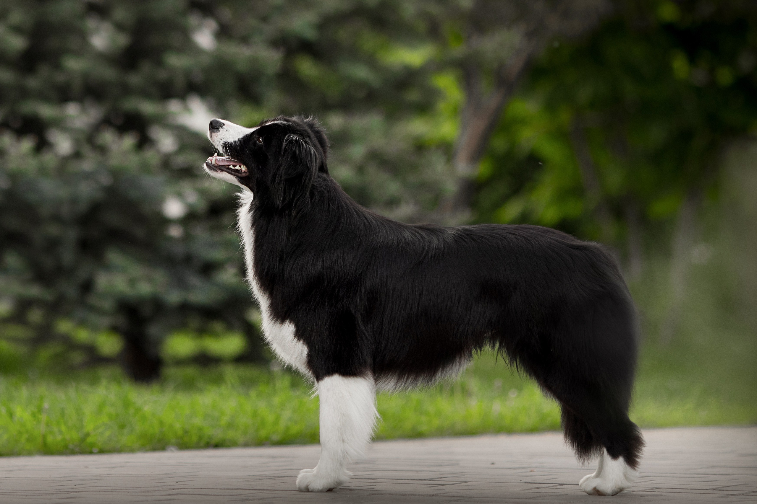 Роскошь в ростошах. О нас