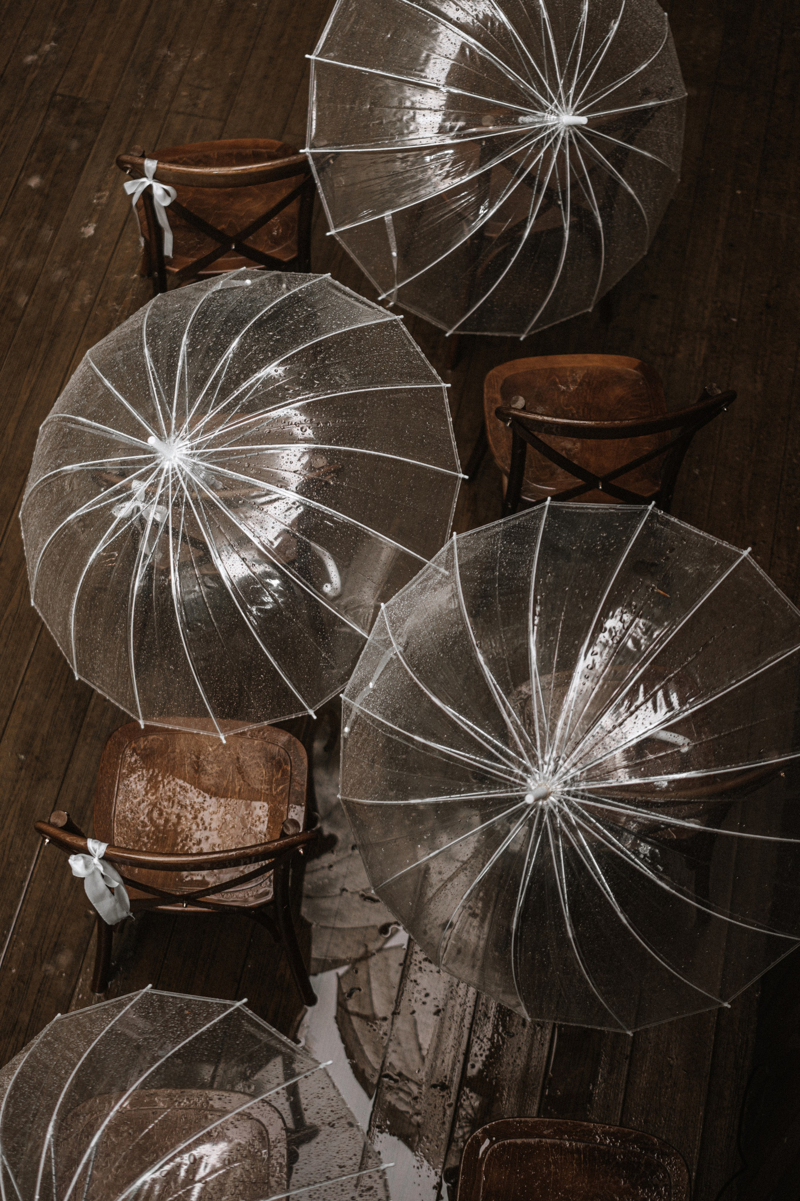 Прячься! Дождь идёт. Сочи. 2024. Никита Погосов