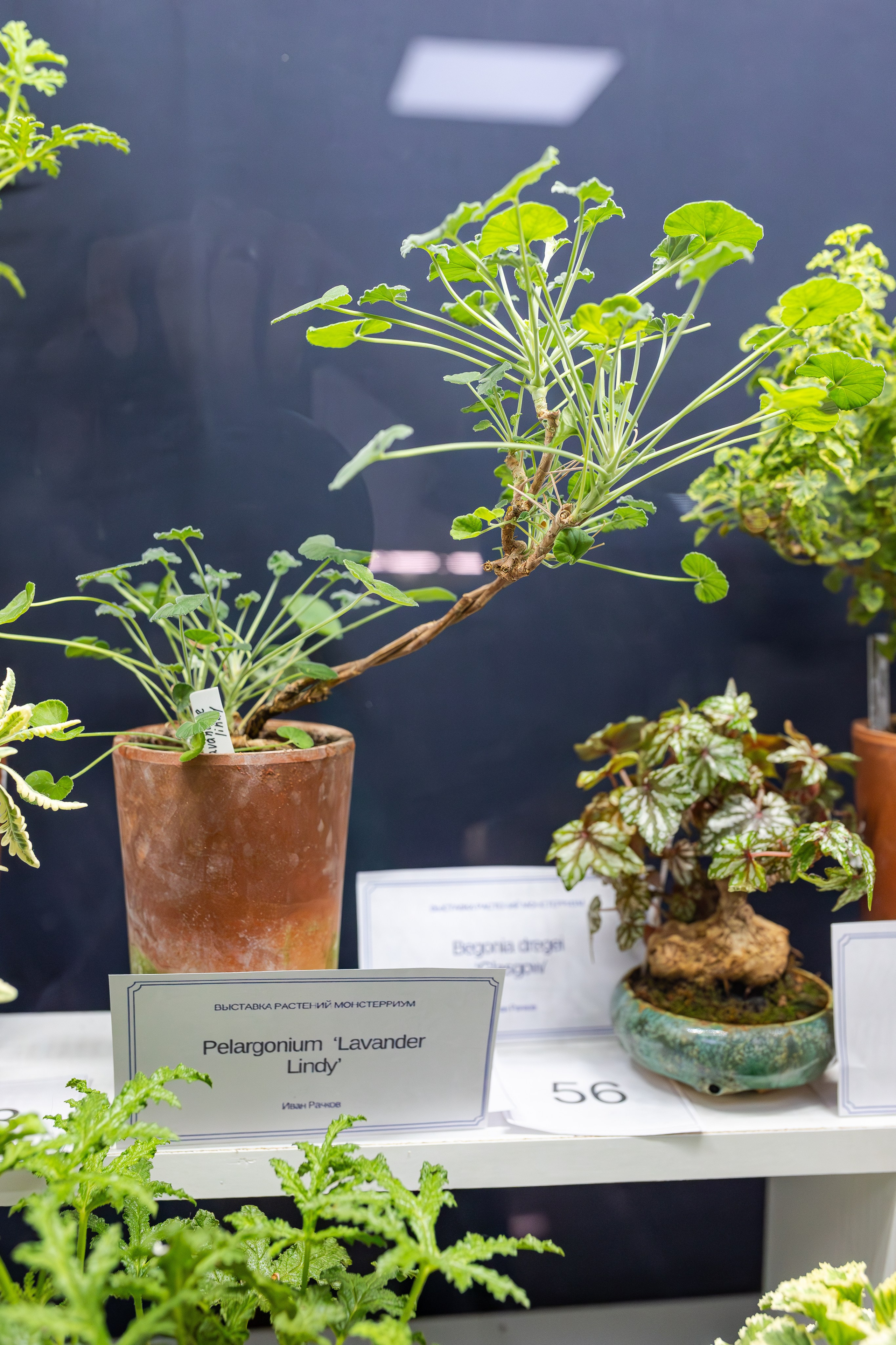 Монстериум апрель 2026. Александра Куликова фотограф, Москва