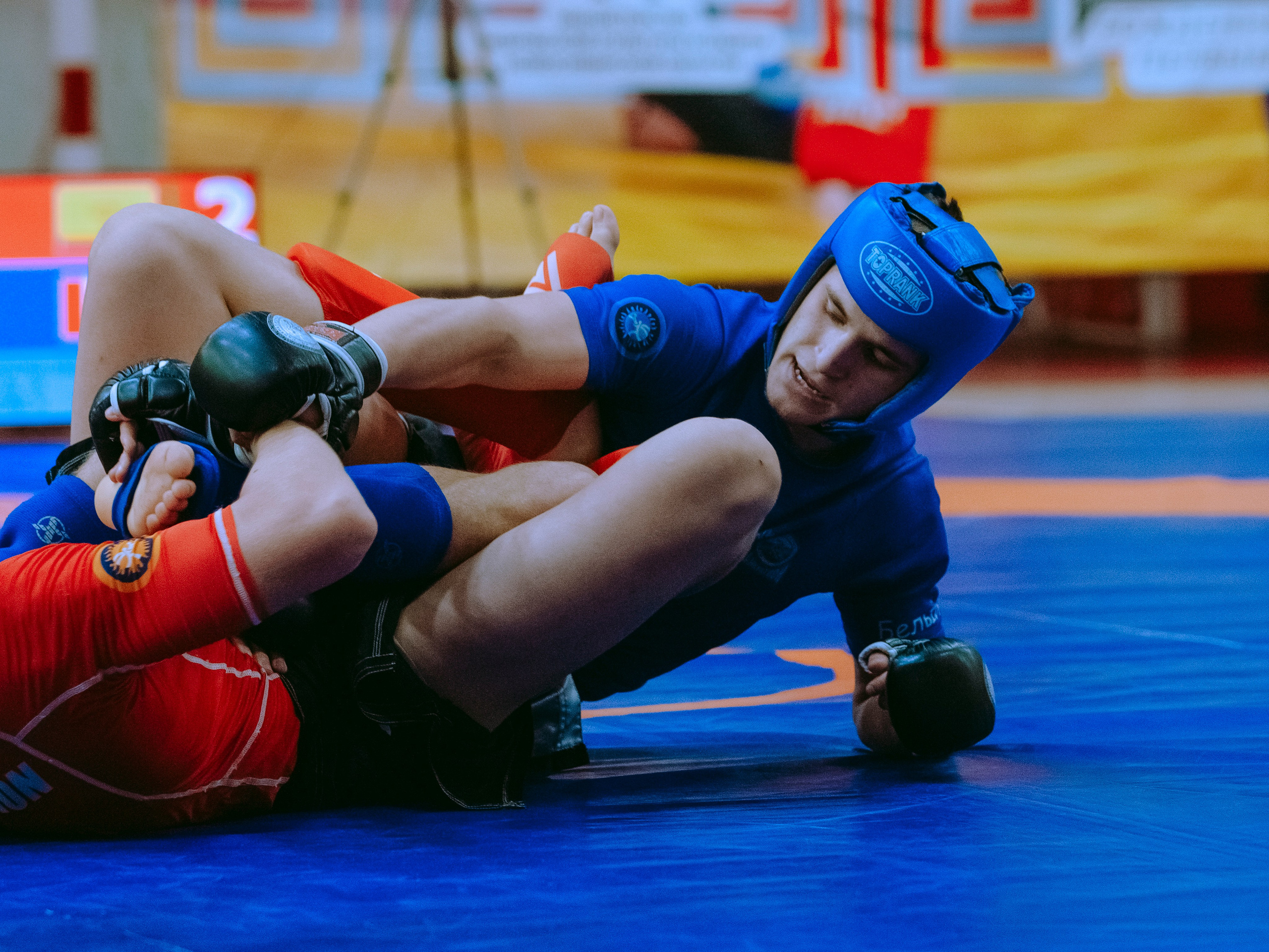 Кубок России по спортивной борьбе панкратион `23. Портретный фотограф в Москве Дарья Цезария