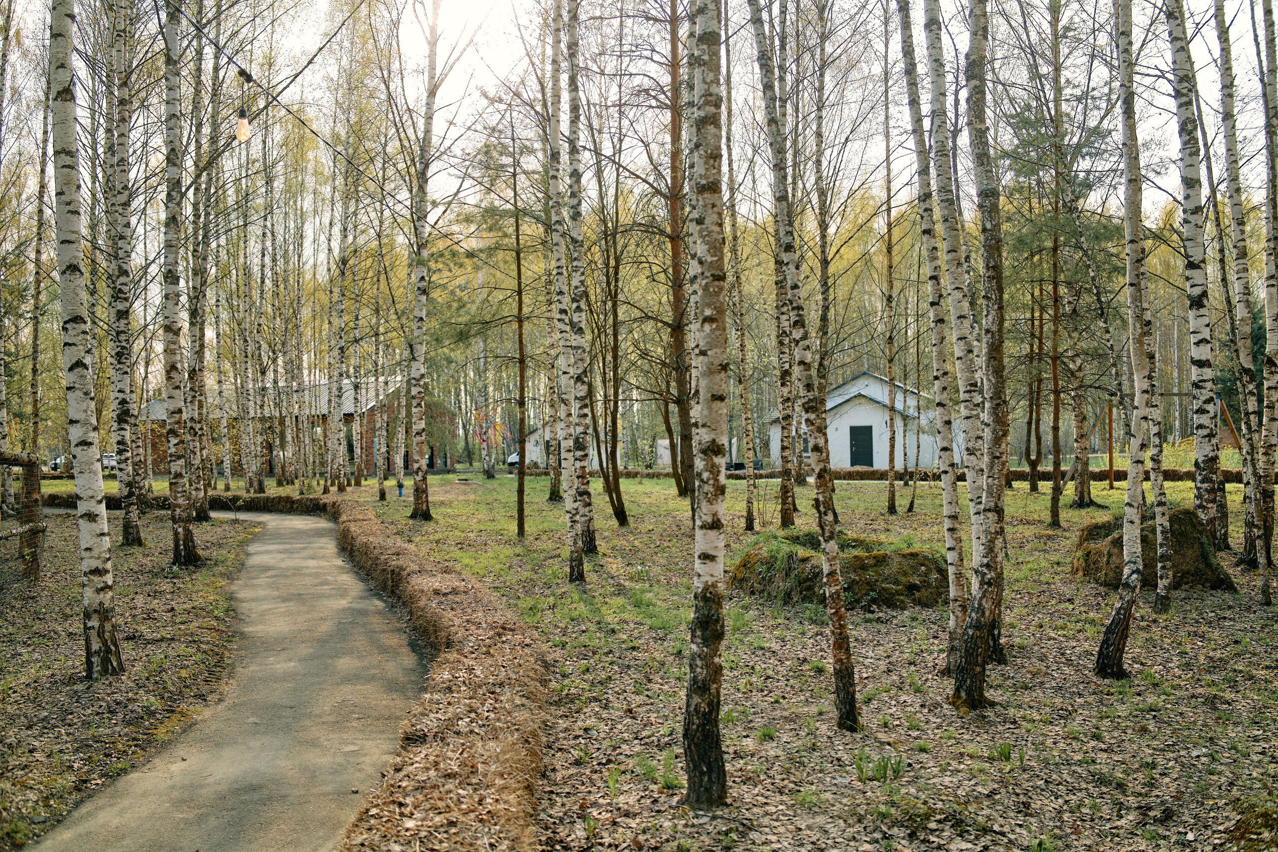 Бутик-отель Поле летом. Профессиональный Фотограф во Владимире, в Москве и в Суздале — Полина Романычева