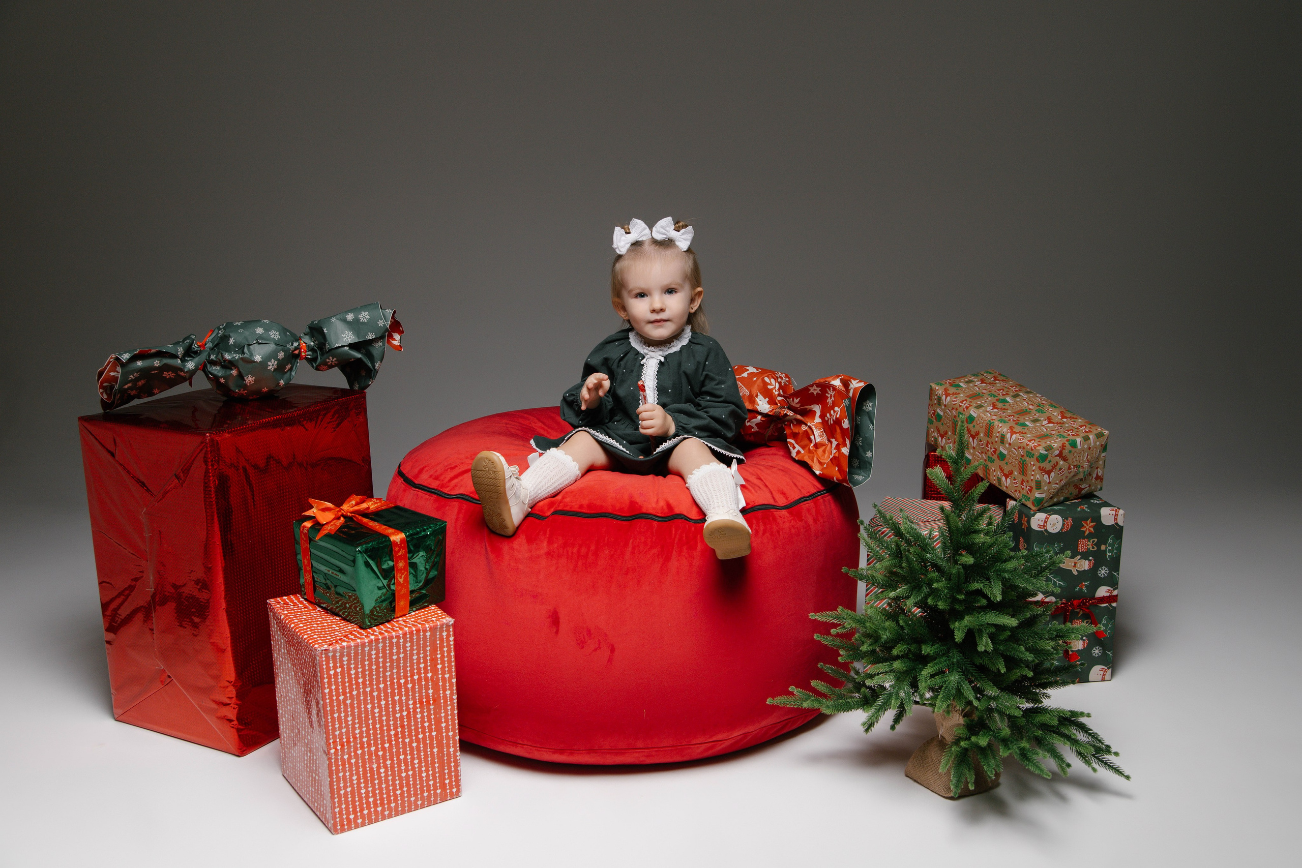 Новый год. Фотограф в городе Лыткарино Волкова Ольга