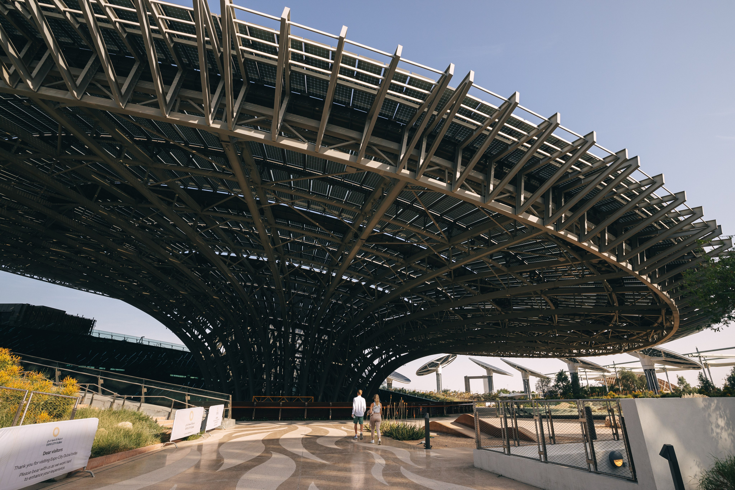 Дубай 2023. Руслан Плахтеев