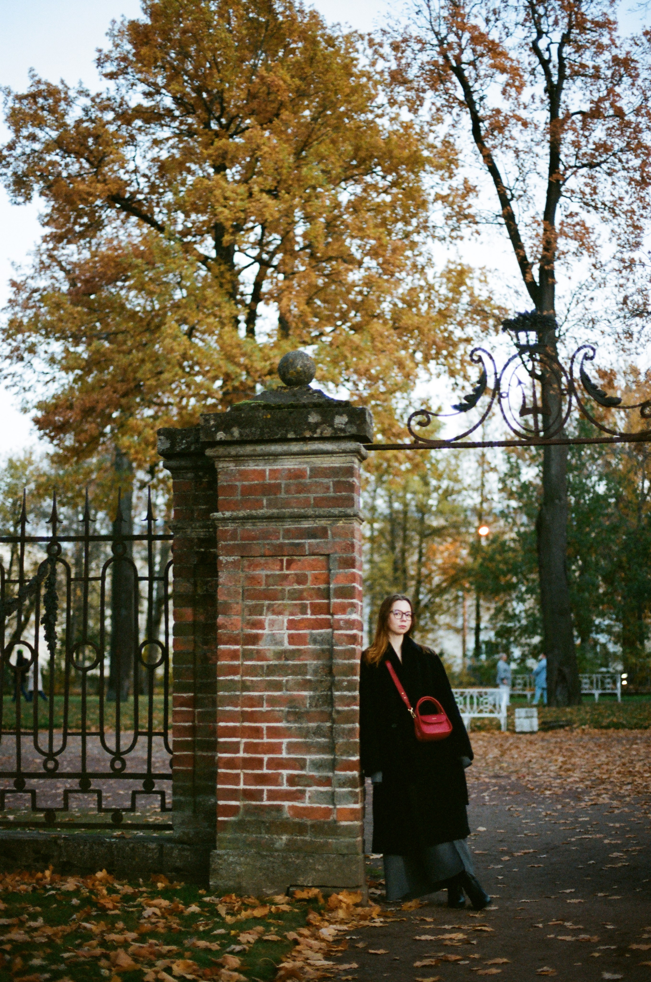 Осень в Пушкине. Андрей Цветков — репортажный, свадебный и портретный фотограф в Санкт-Петербурге