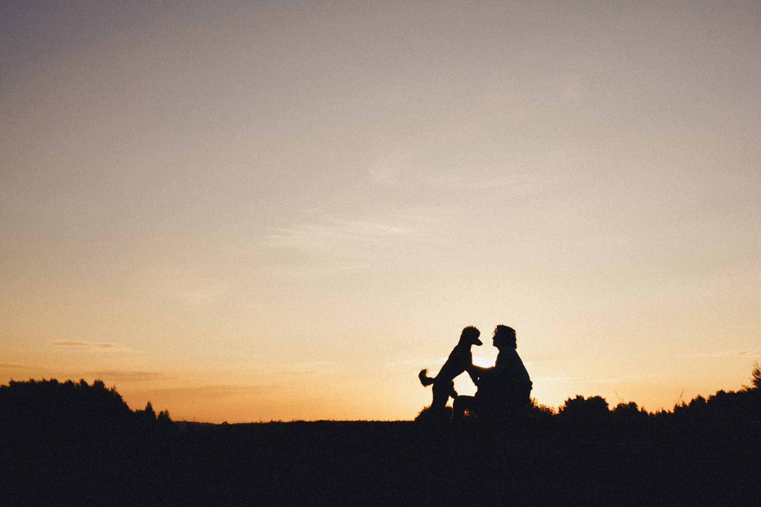 Юля, Кир и Цера. Фотограф анималист Осипчикова Мария