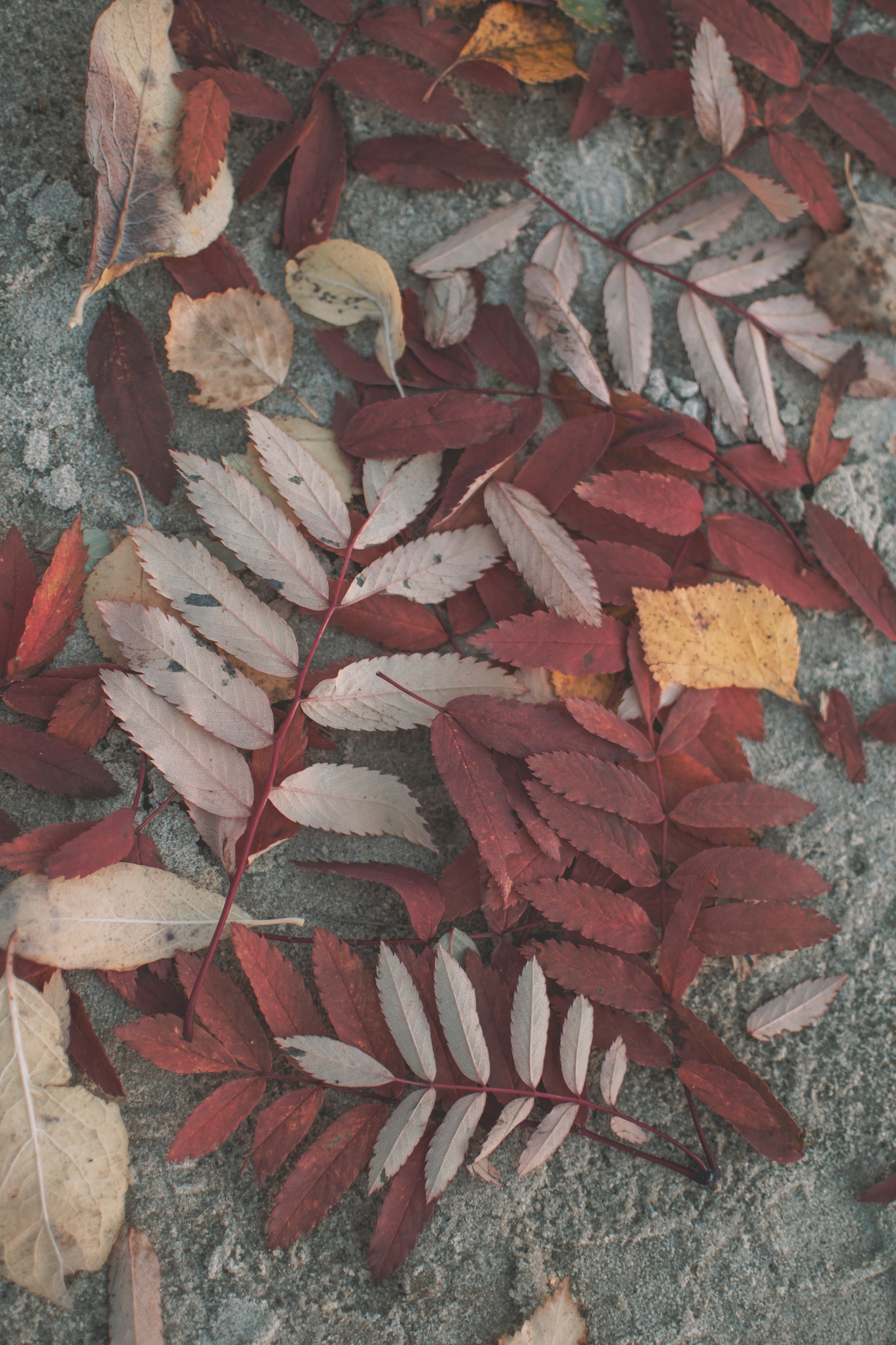 «Любовь живет тут…». Семейный и свадебный фотограф Губкинский и Ставрополь