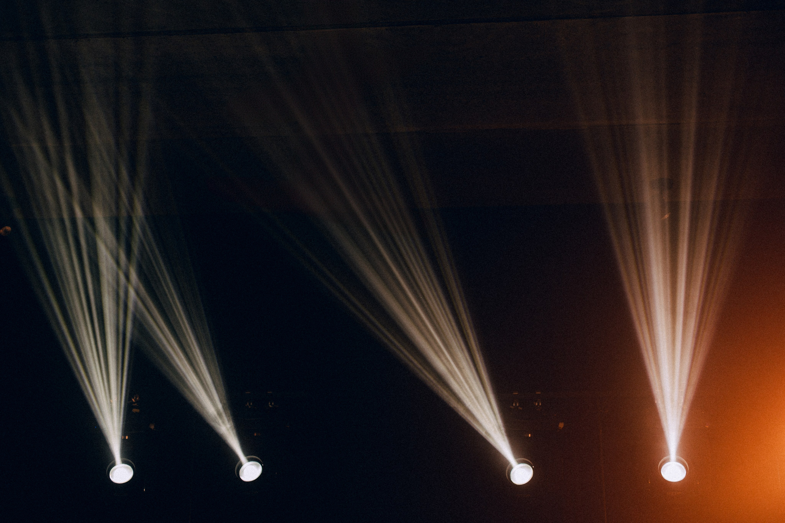Dandelions. Daria Chigintseva Photographer