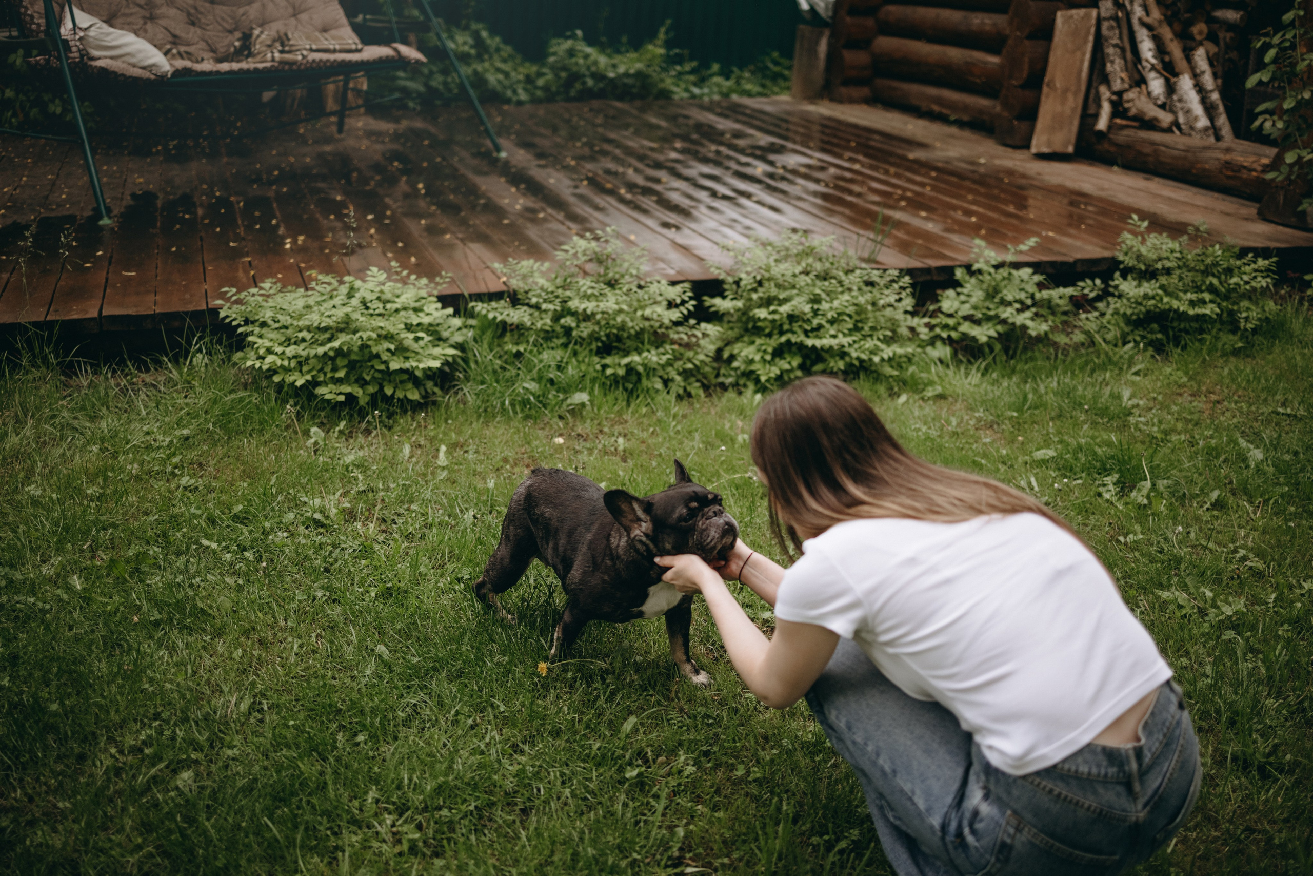 Софа и ее хвостики. Фотограф — Анималист | Санкт-Петербург