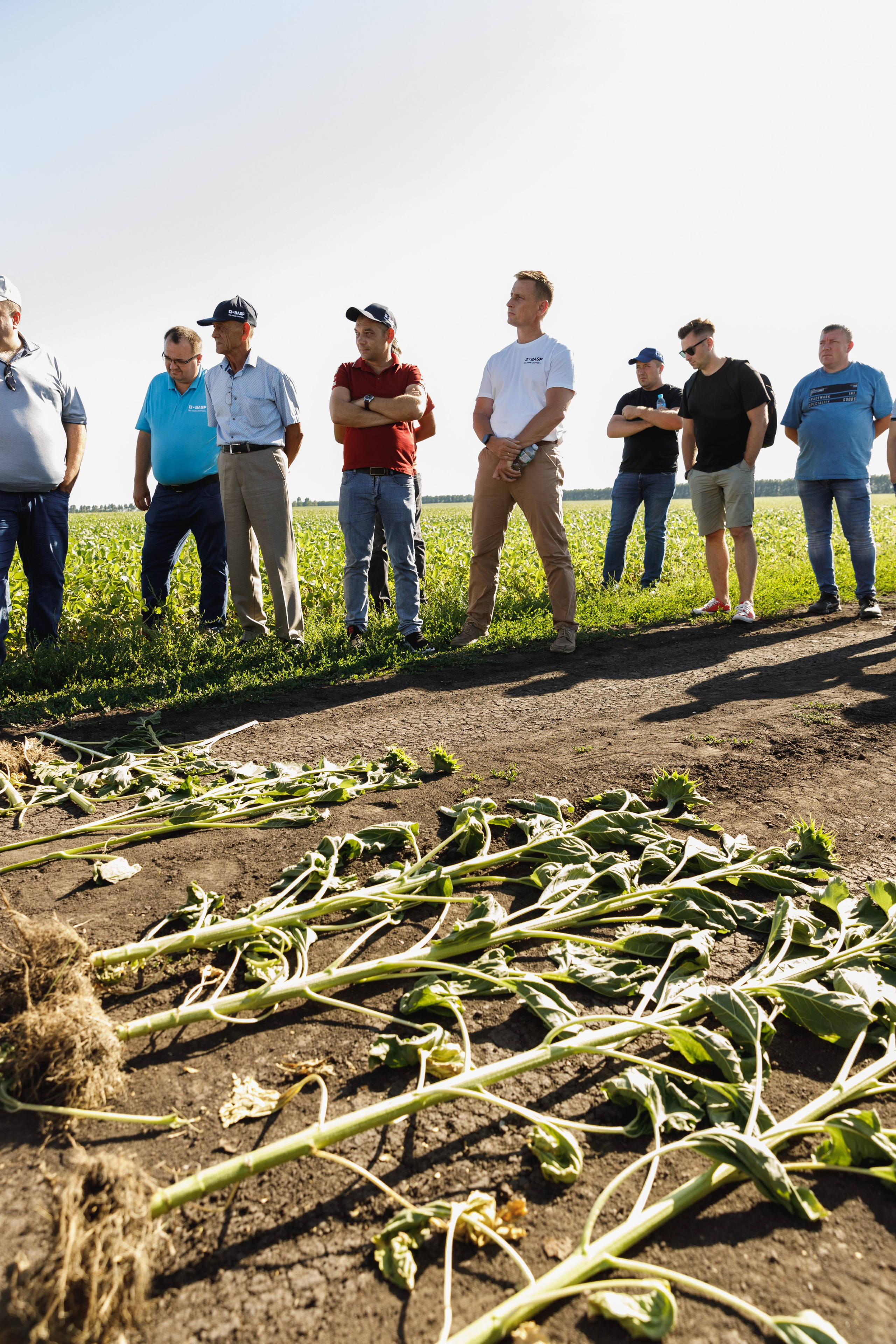 BASF. Конференция 2024. Фотограф Липецк. Фотограф в Липецке Татьяна Минаева. Портретный фотограф Липецк. Свадебный фотограф Липецк. Бизнес фотограф Липецк