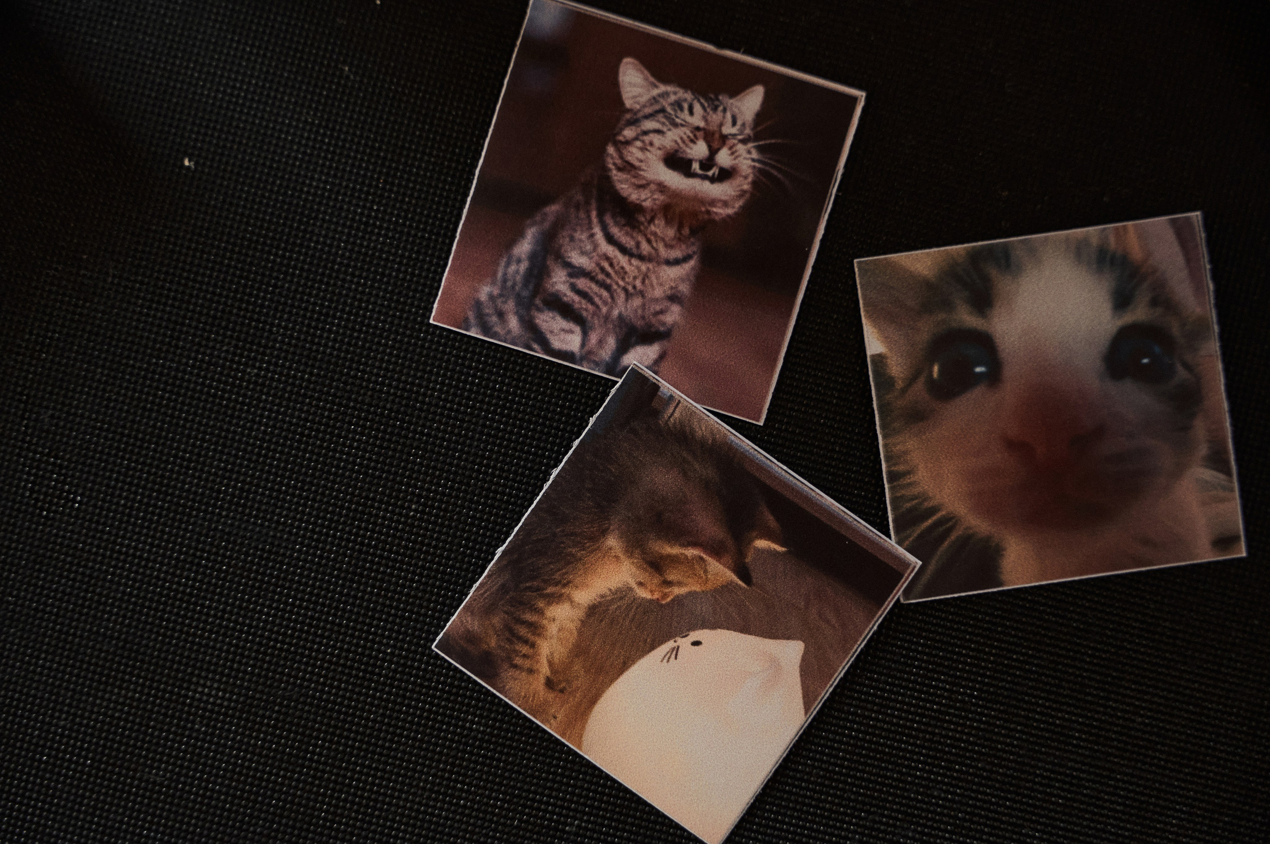 Свадебная съемка Брянск Москва Свадебный фотограф фотограф на свадьбу  фотограф Орел. Свадебный и портретный фотограф в Брянске Скепская Лилия