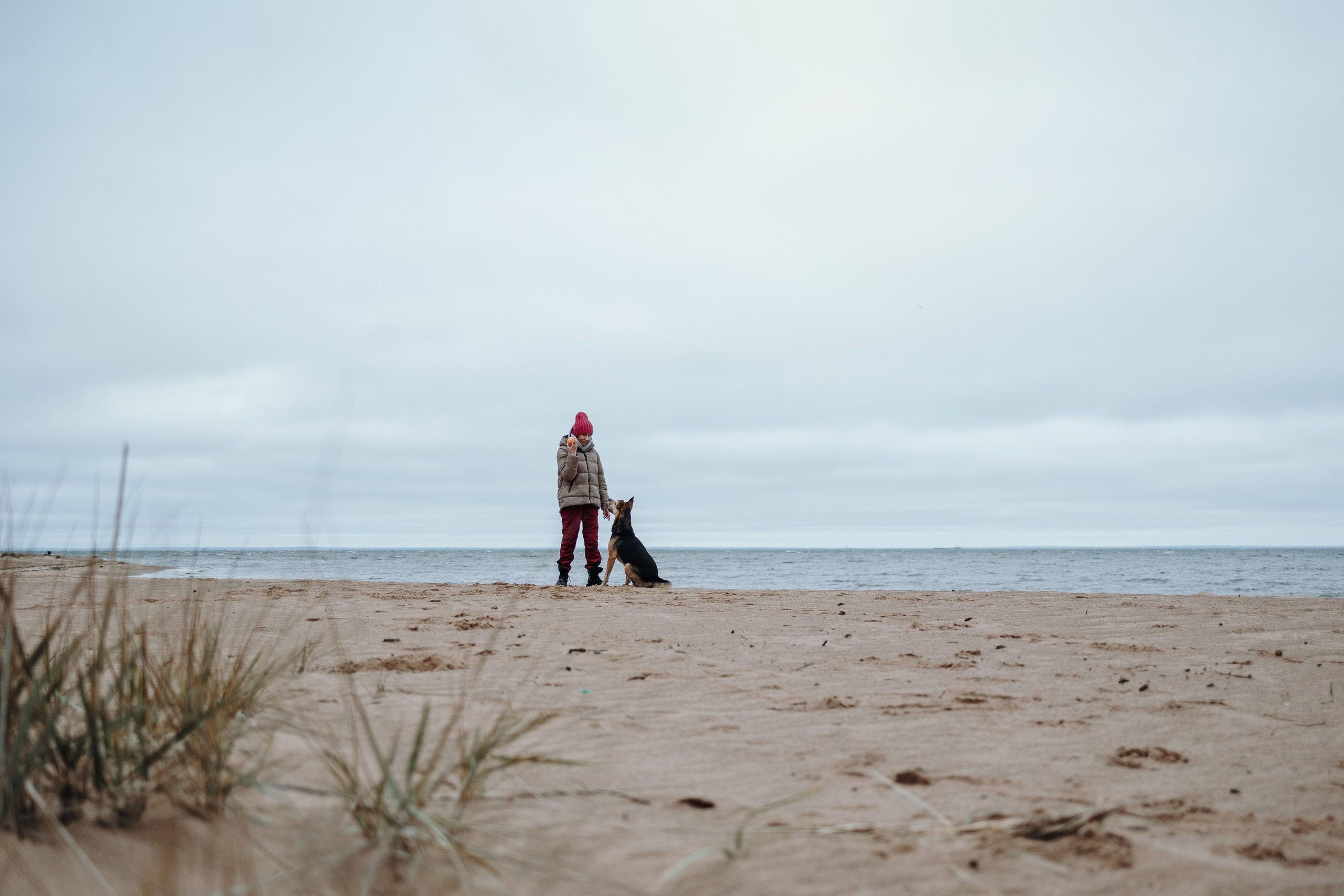 Наталья и Того. Фотограф — Анималист | Санкт-Петербург