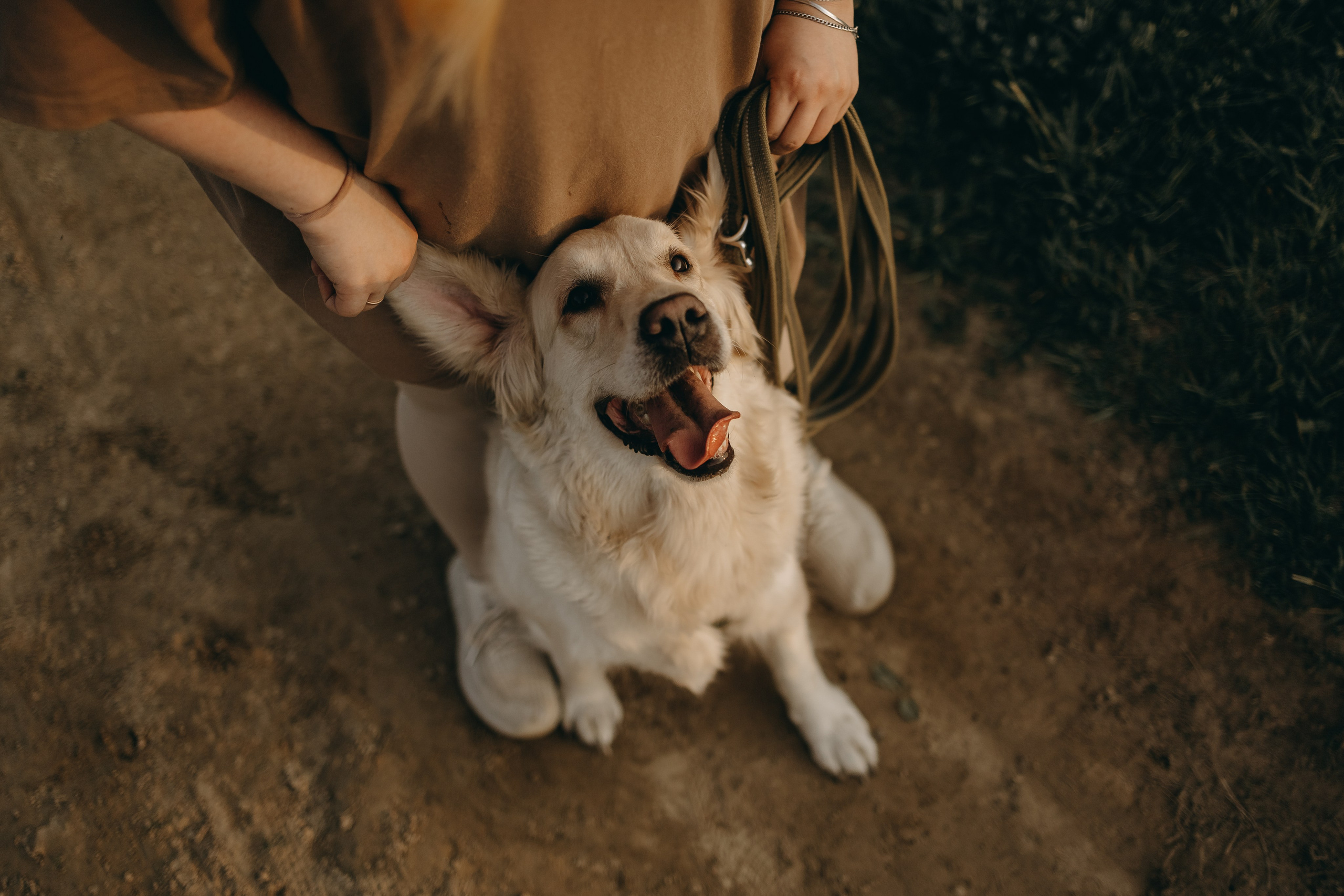 Милка и ребята. Фотограф — Анималист | Санкт-Петербург