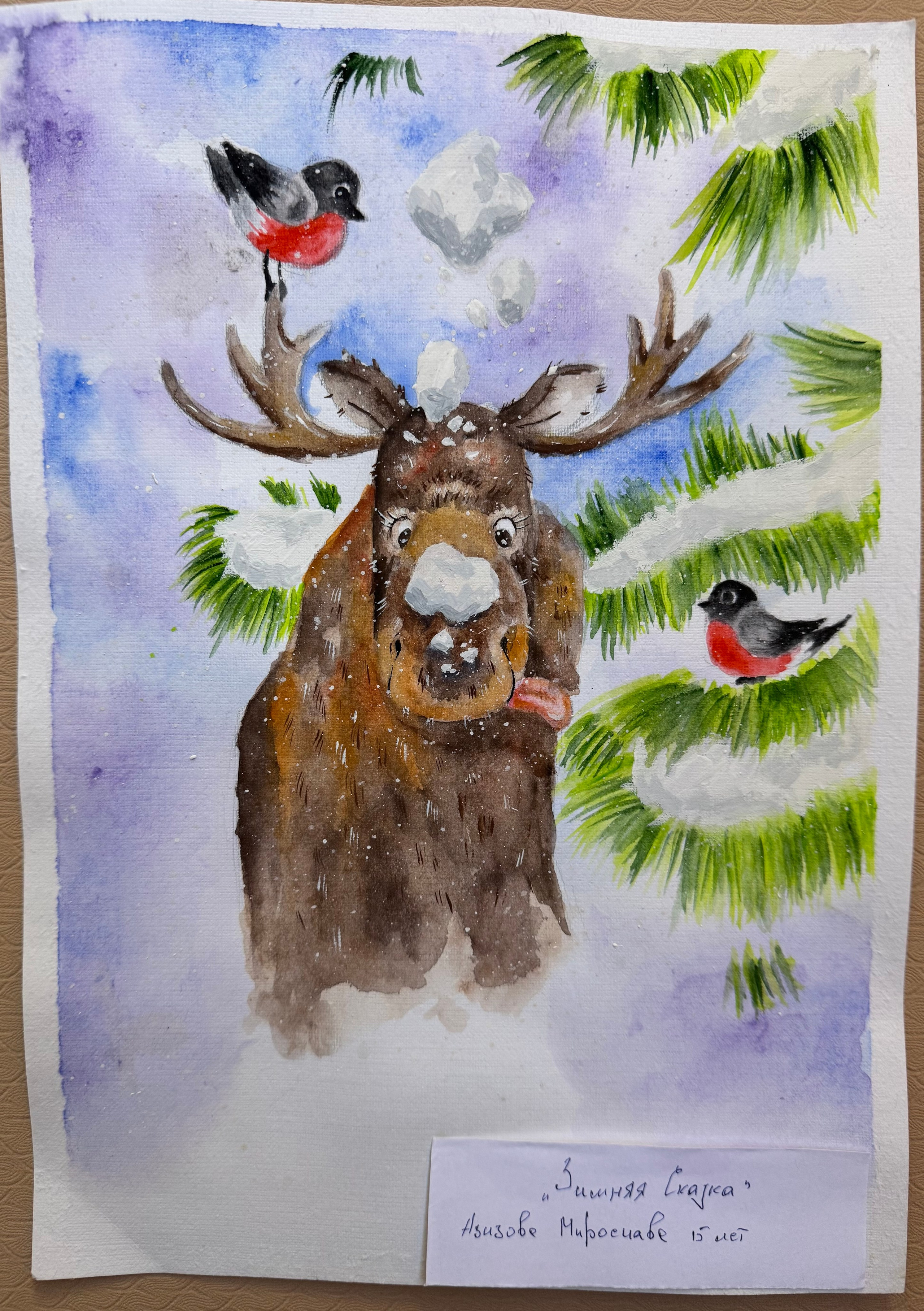 Азизова Мирослава. АНО «Центра социальных проектов «Путь в большой мир»