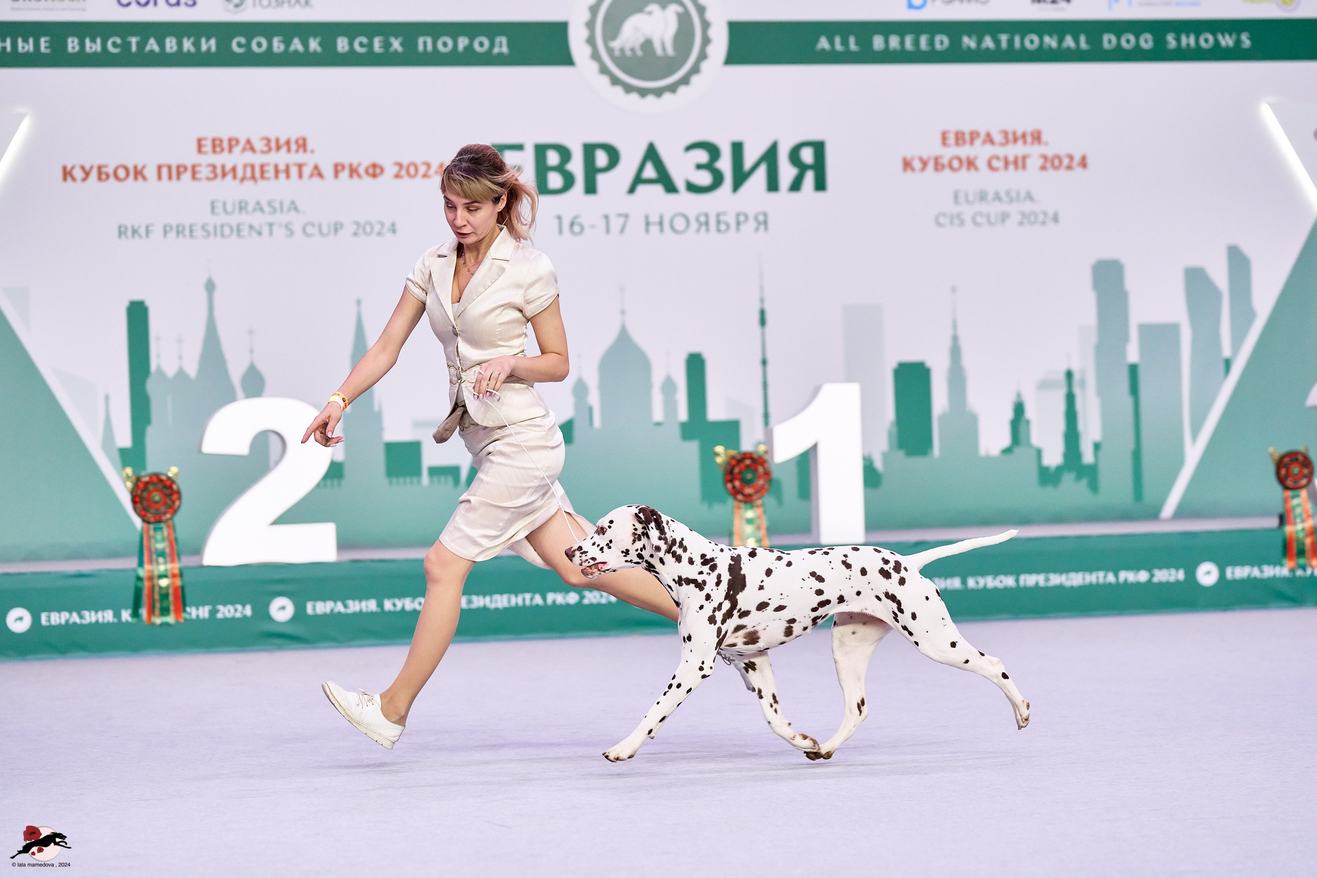 17.11.2024 «ЕВРАЗИЯ. КУБОК СНГ 2024»