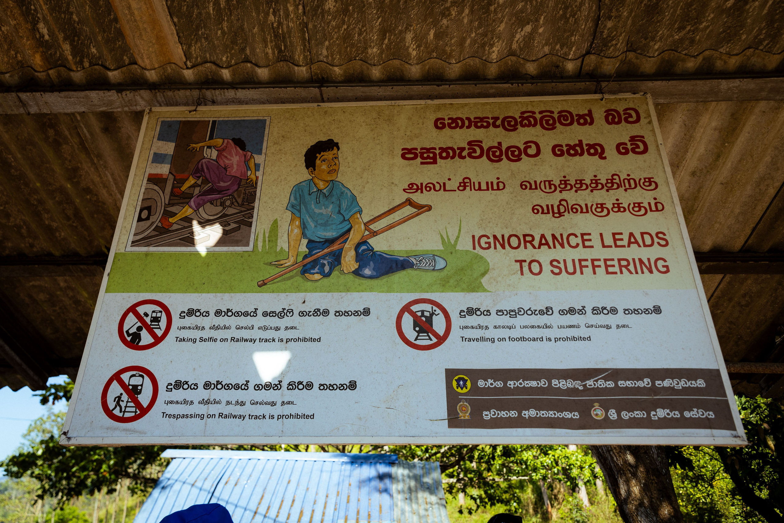 Шри-Ланка (весна 2024). Фотограф Виноградов Константин