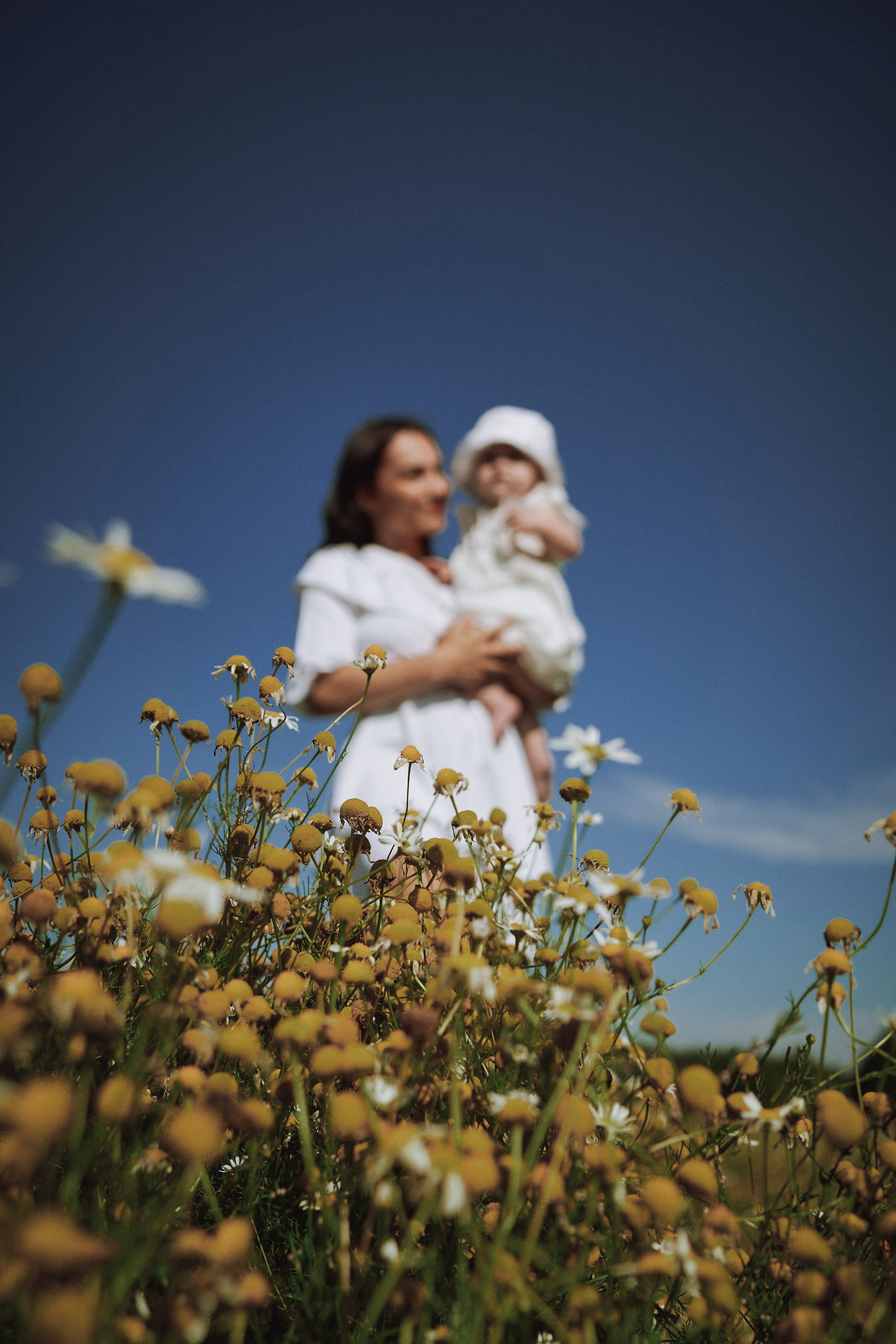 Поле с ромашками. Фотограф в Санкт-Петербурге | Аня Маленчук