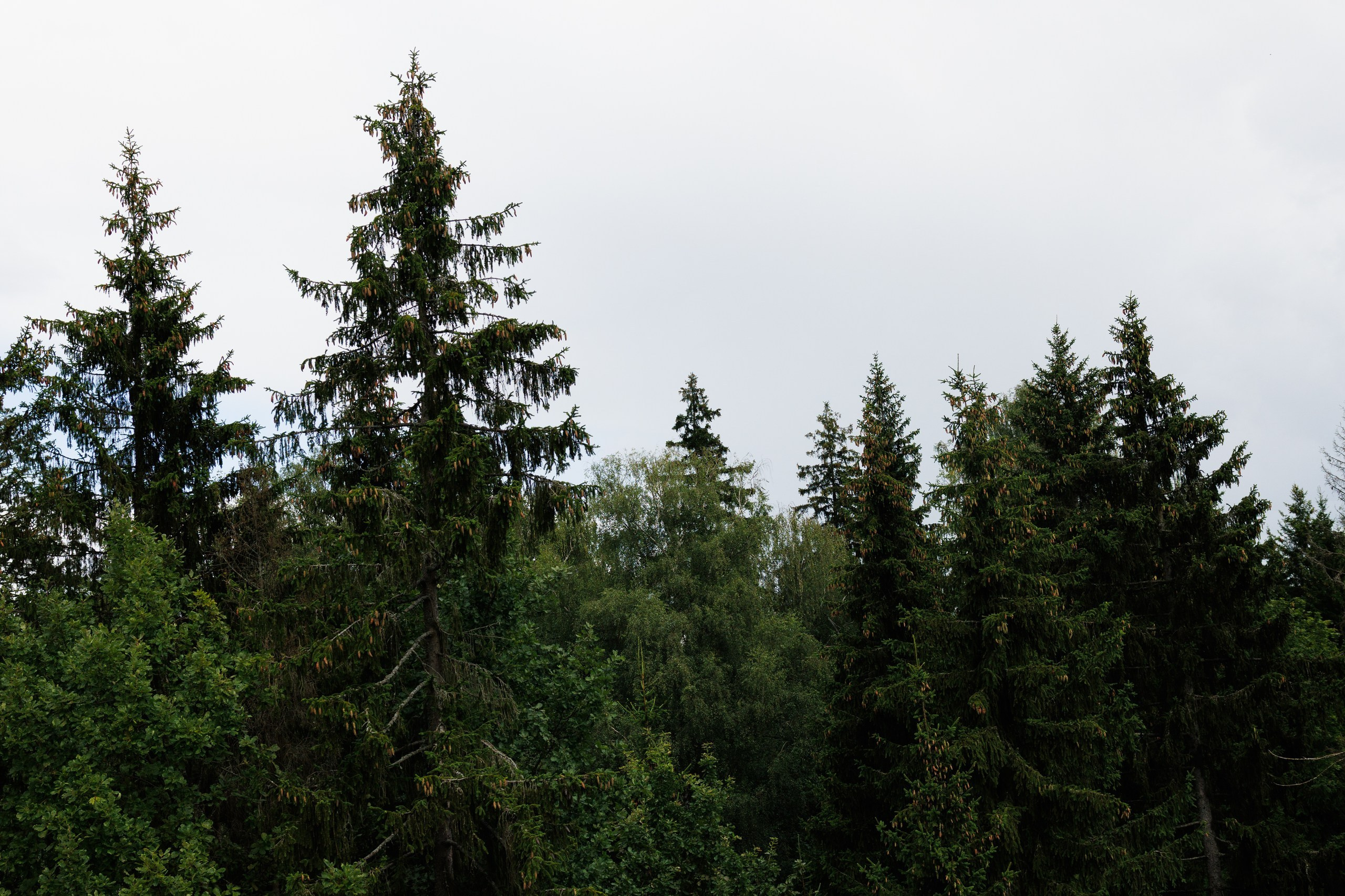 На берегу. Свадебный и семейный фотограф в Твери, Москве, Санкт-Петербурге