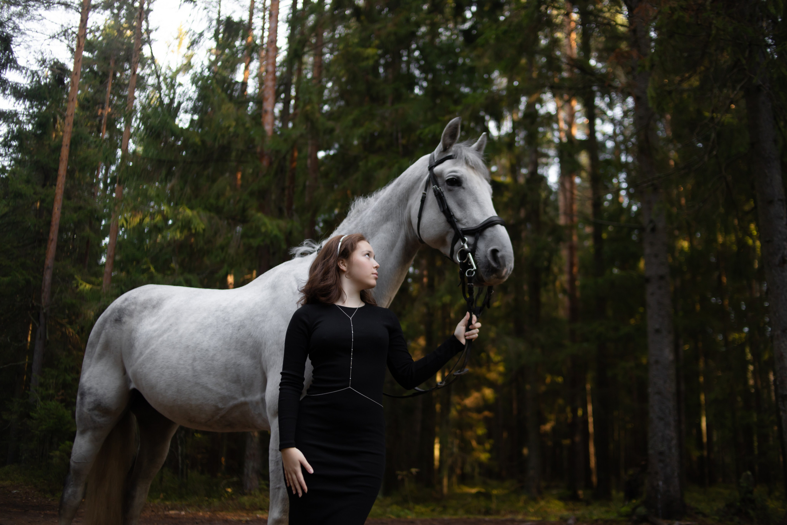 Художественные фотосессии. Конный фотограф в Санкт-Петербурге Анна Лебедева