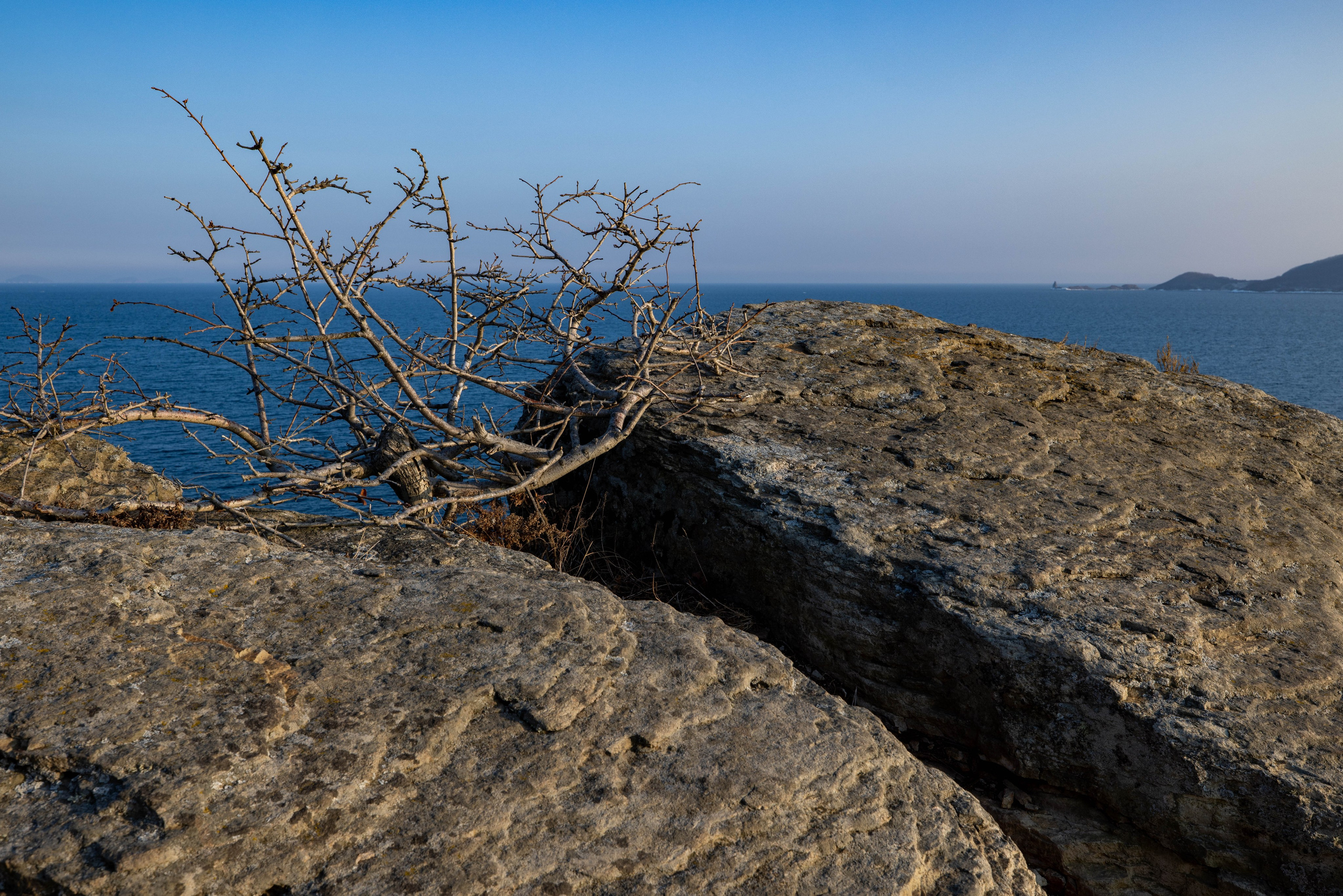 Берег Парящей черепахи. Турист оптимист