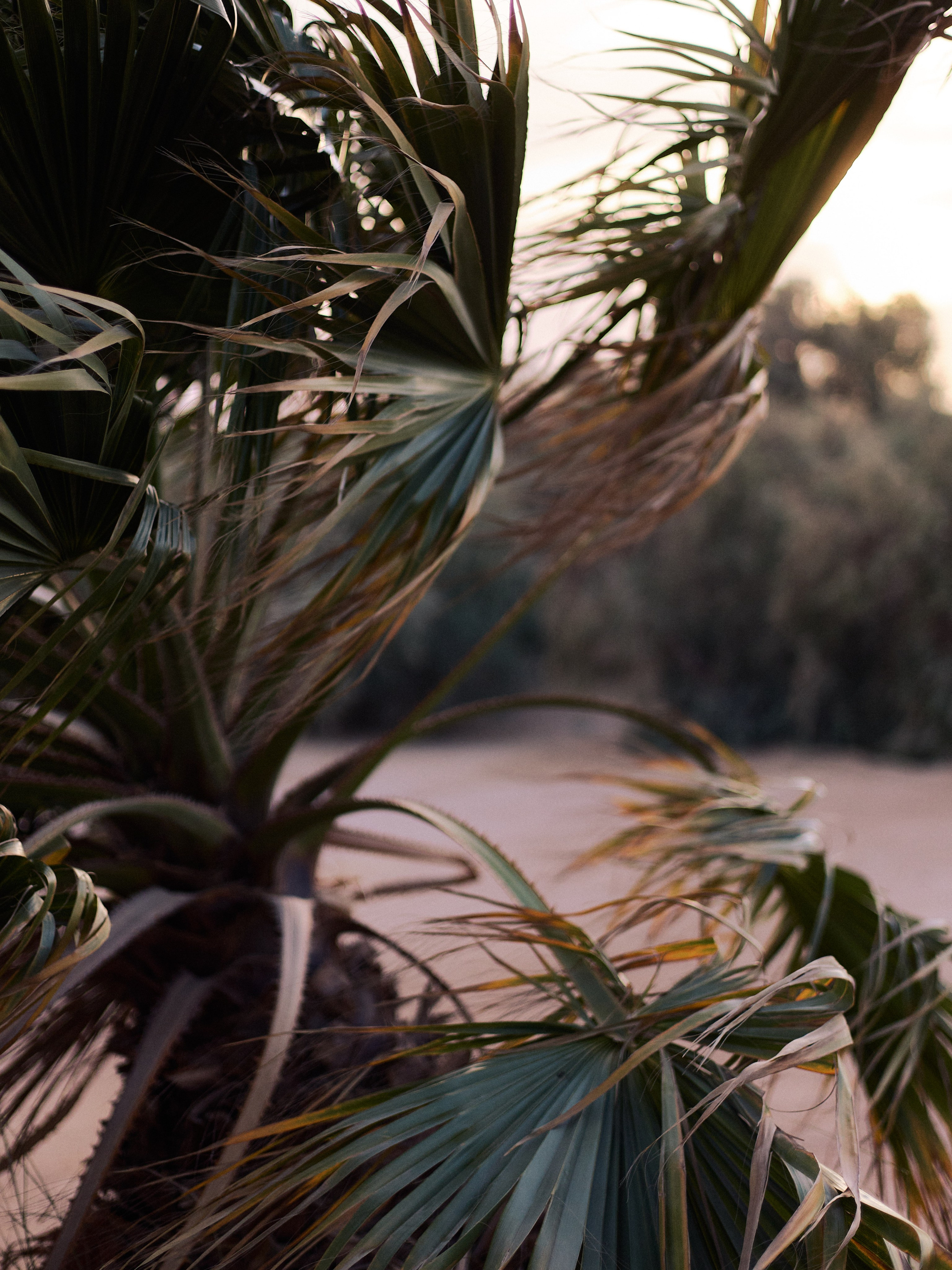 Другое 2. Jorgis Talè — photographer, kind person, teacher of arts and other mag