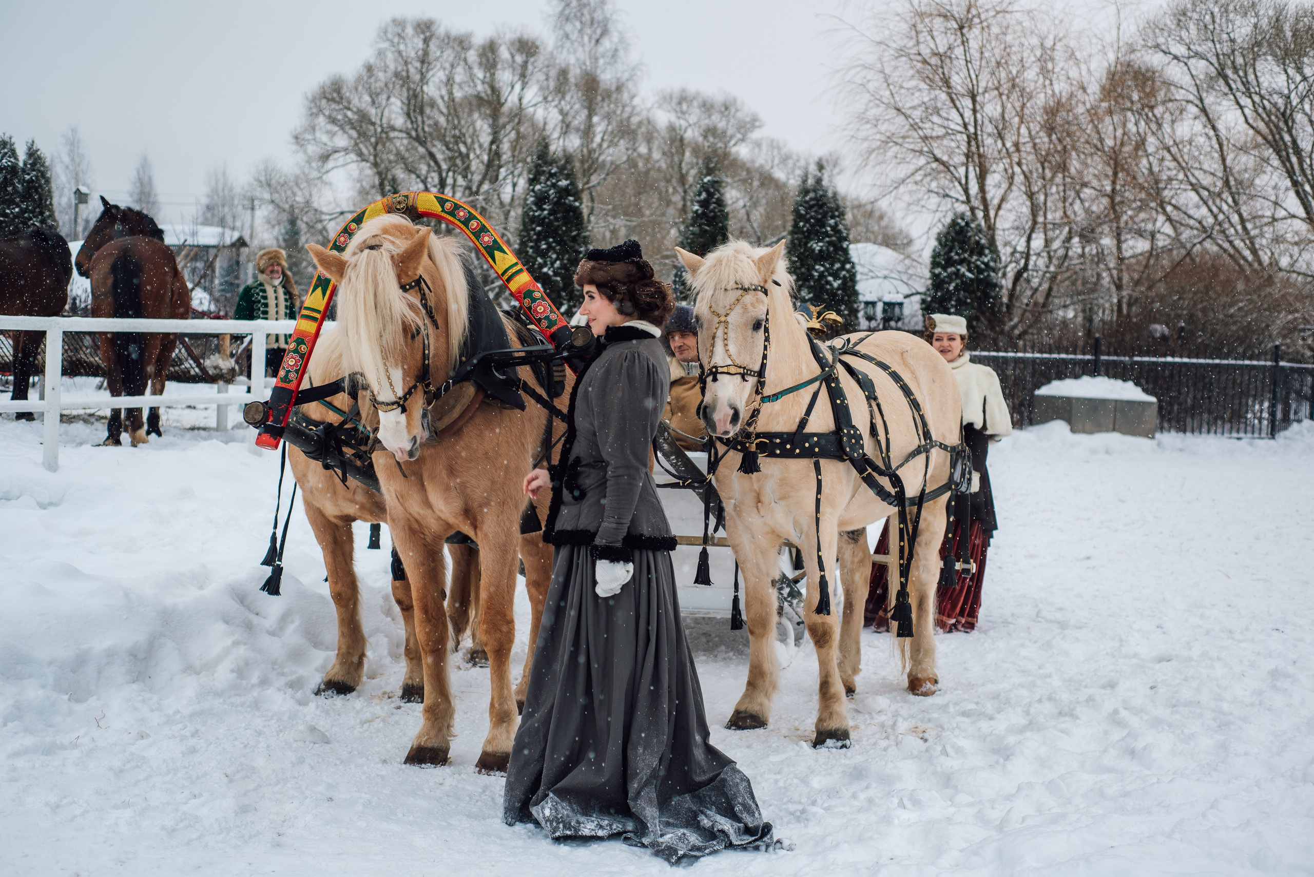 Зимняя парфорсная охота. Фотограф Диана Вальтер