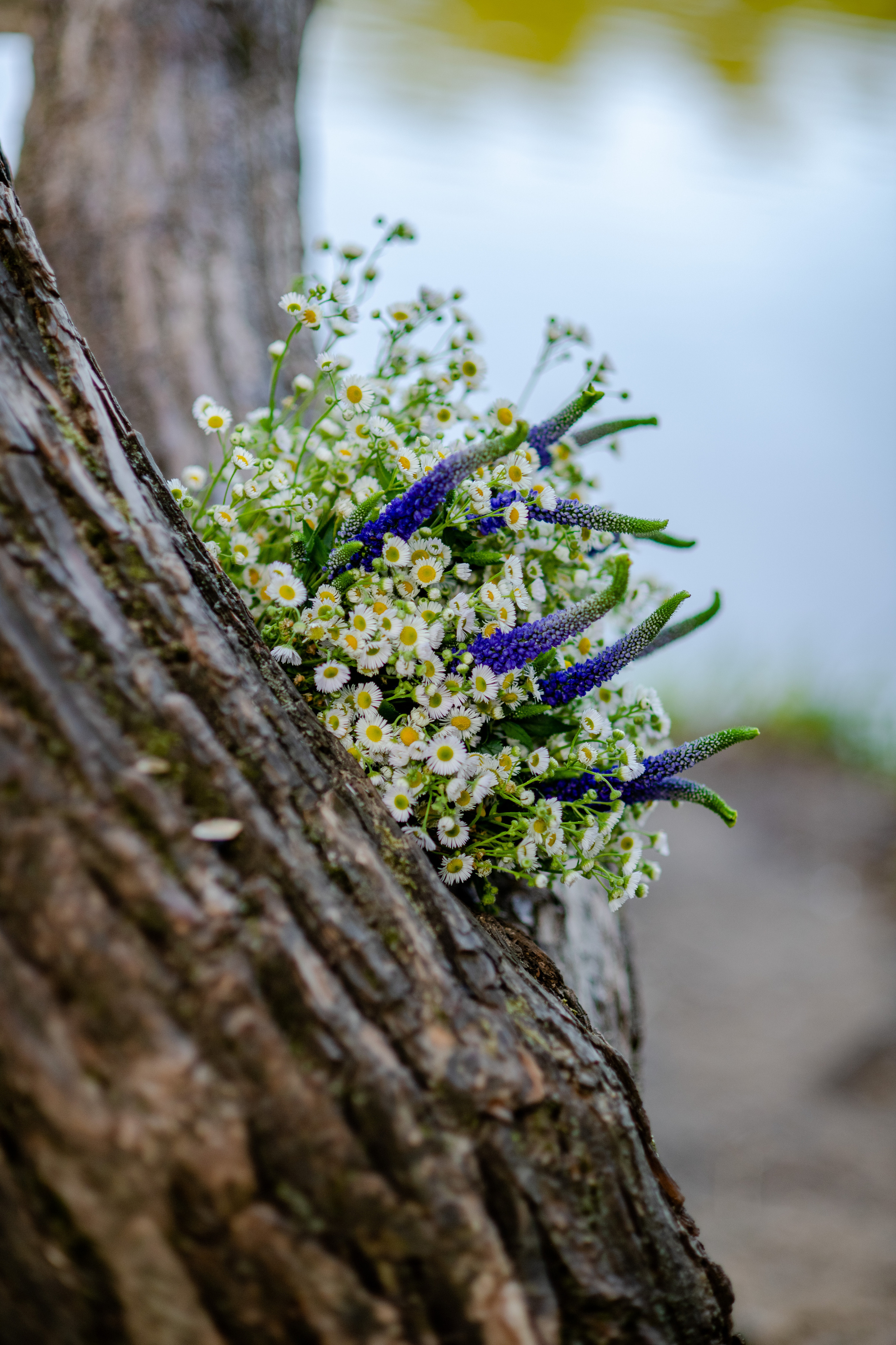 Фотопрогулки. Сайт фотографа Анны Беляевой