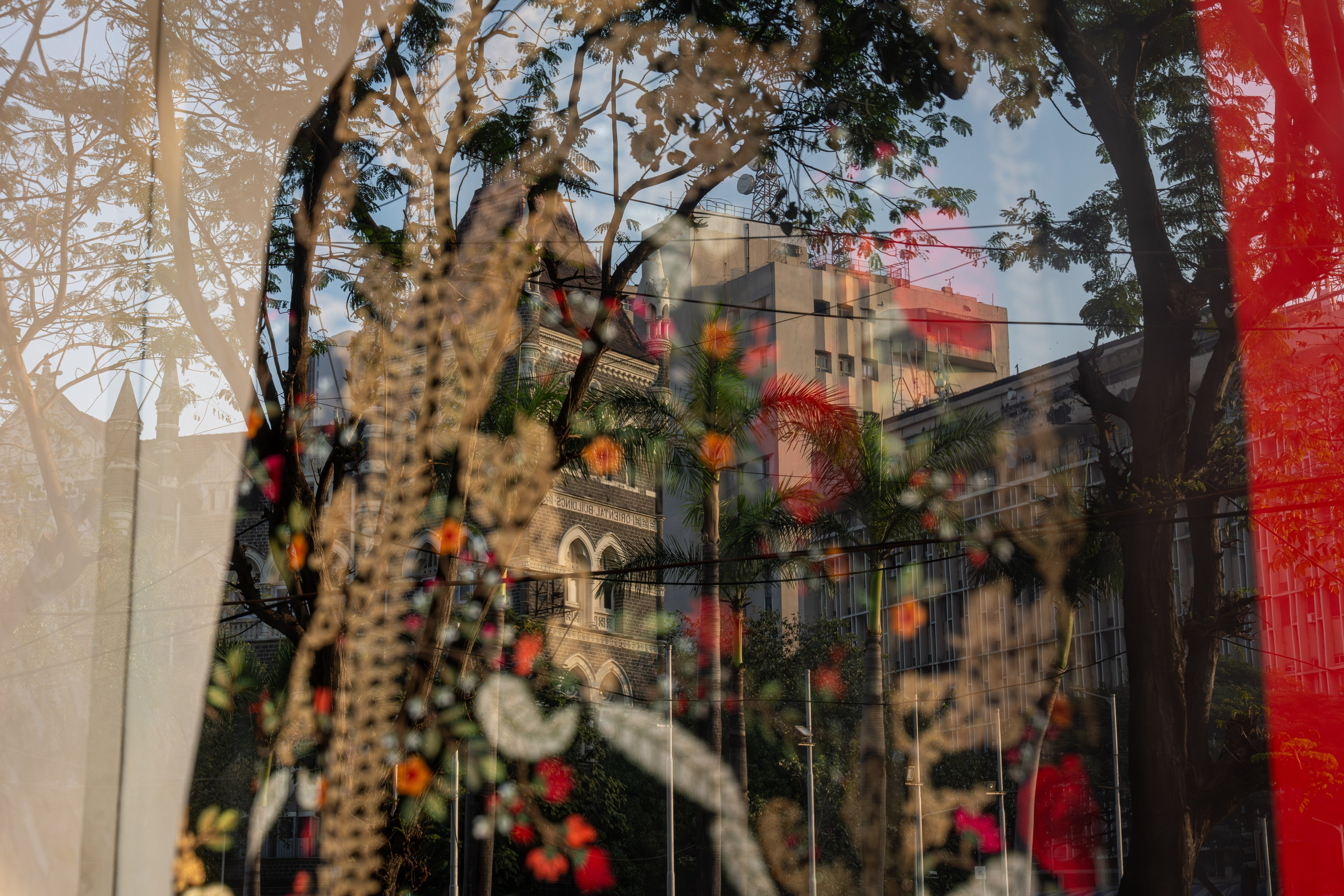 Light. Dimitri Bakhtadze photographer