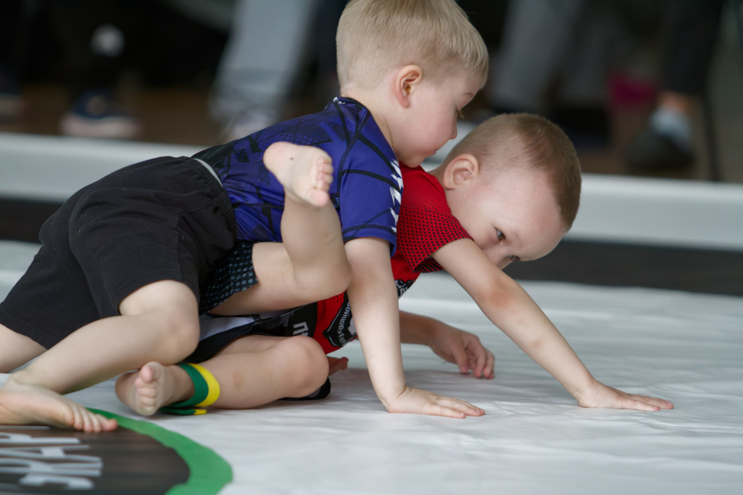 Борьба. Джиу-джитсу 26.04.2025. Репортажный и спортивный фотограф в г. Пермь Зильберг Павел