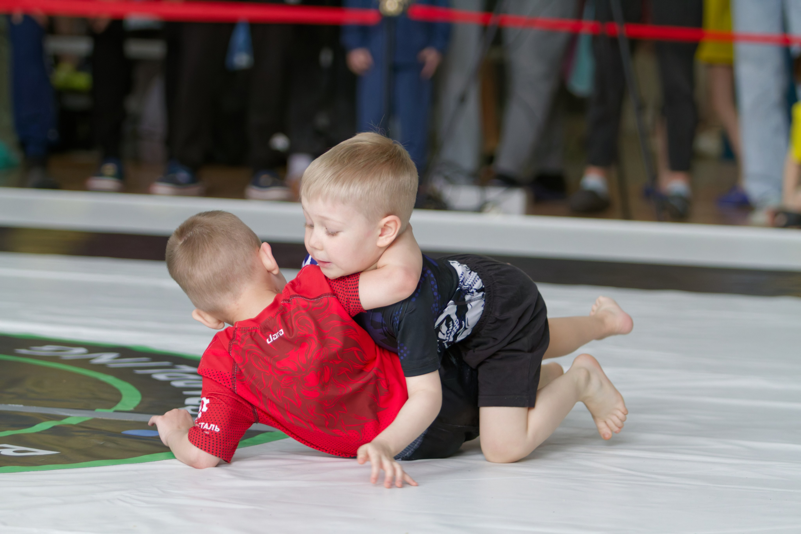Борьба. Джиу-джитсу 26.04.2025. Репортажный и спортивный фотограф в г. Пермь Зильберг Павел