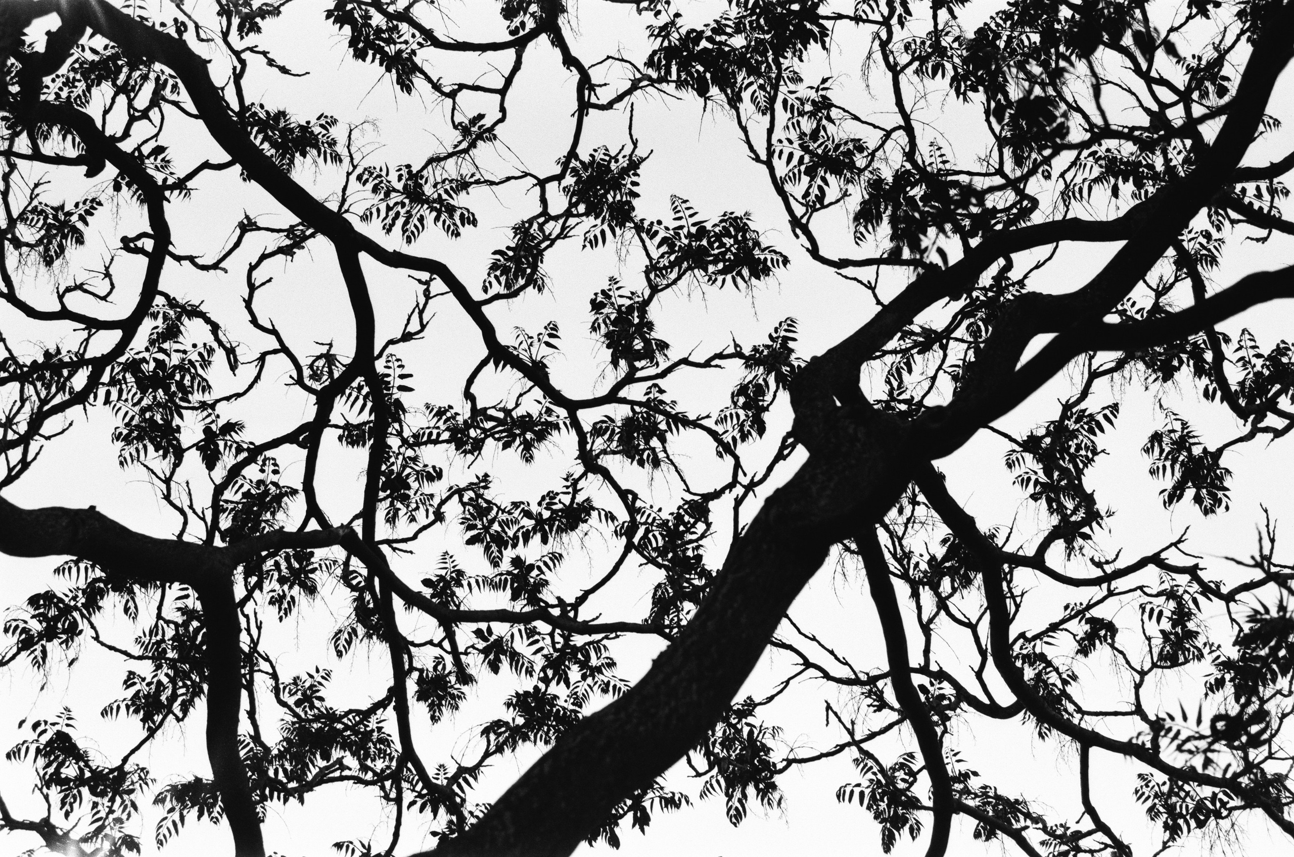 Sparks // ukraine, crimea. EVER EXPOSED