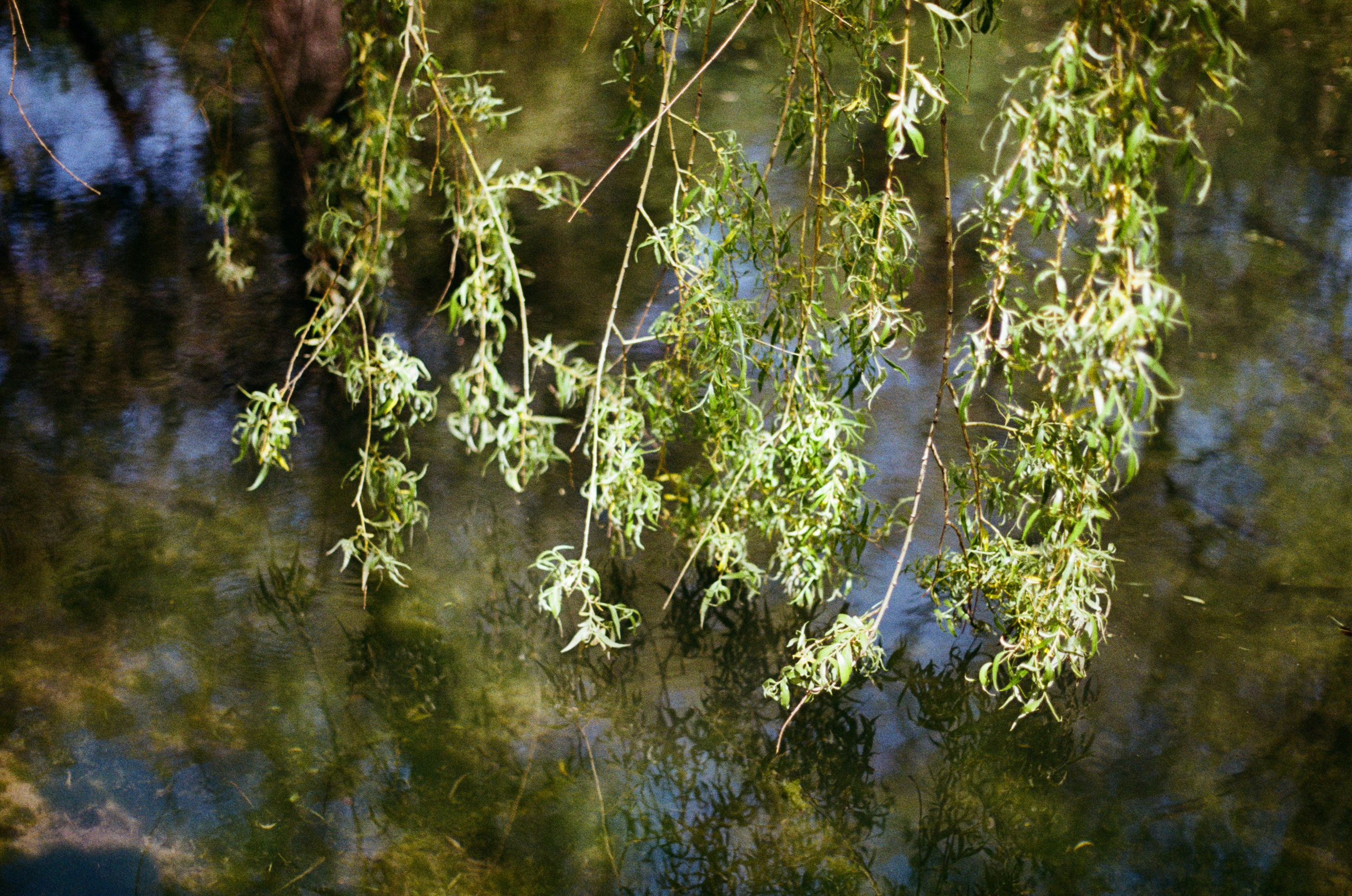 Point of no reply // ukraine, crimea. EVER EXPOSED
