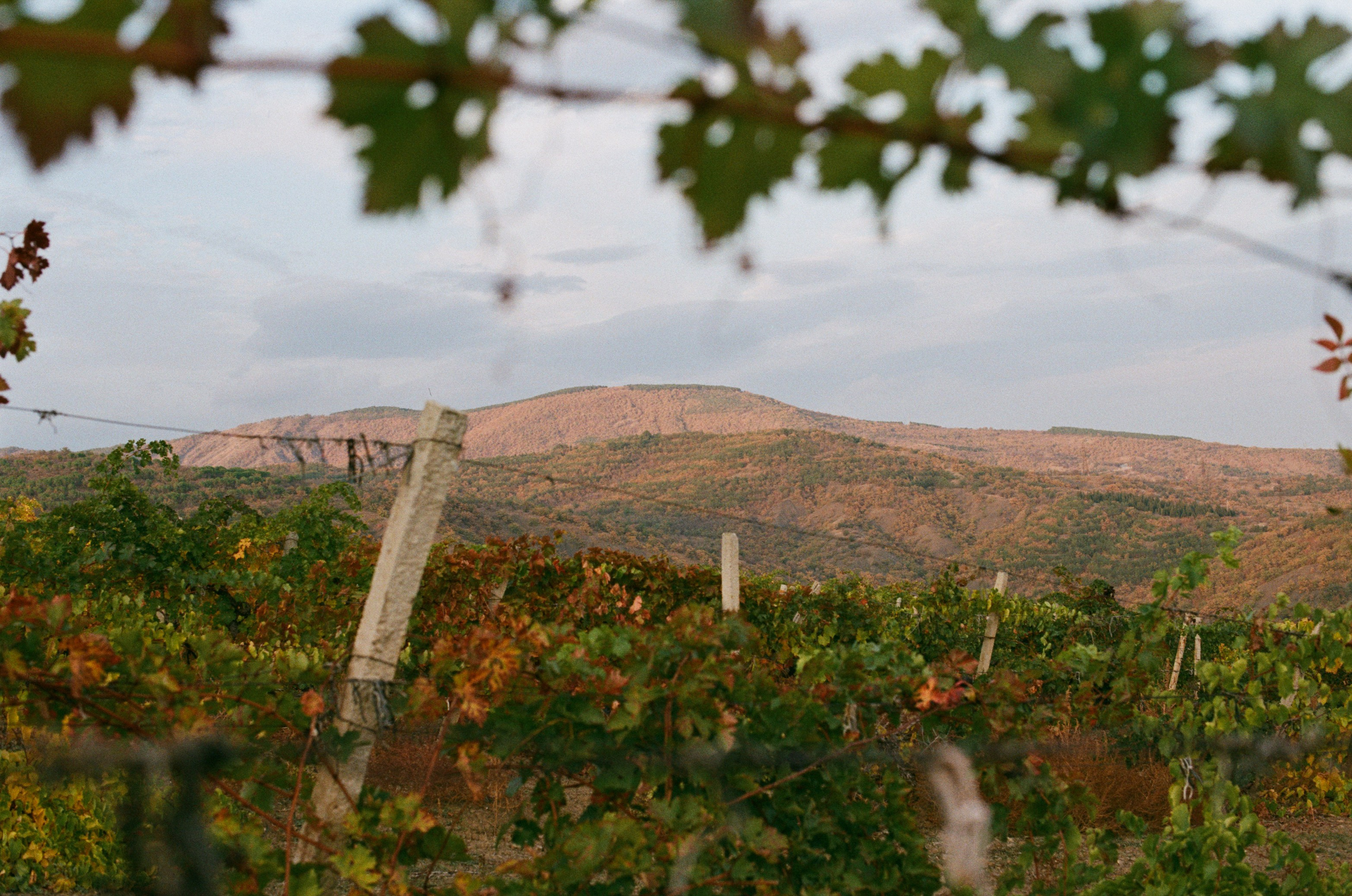 Wherever you will go // ukraine, crimea. EVER EXPOSED