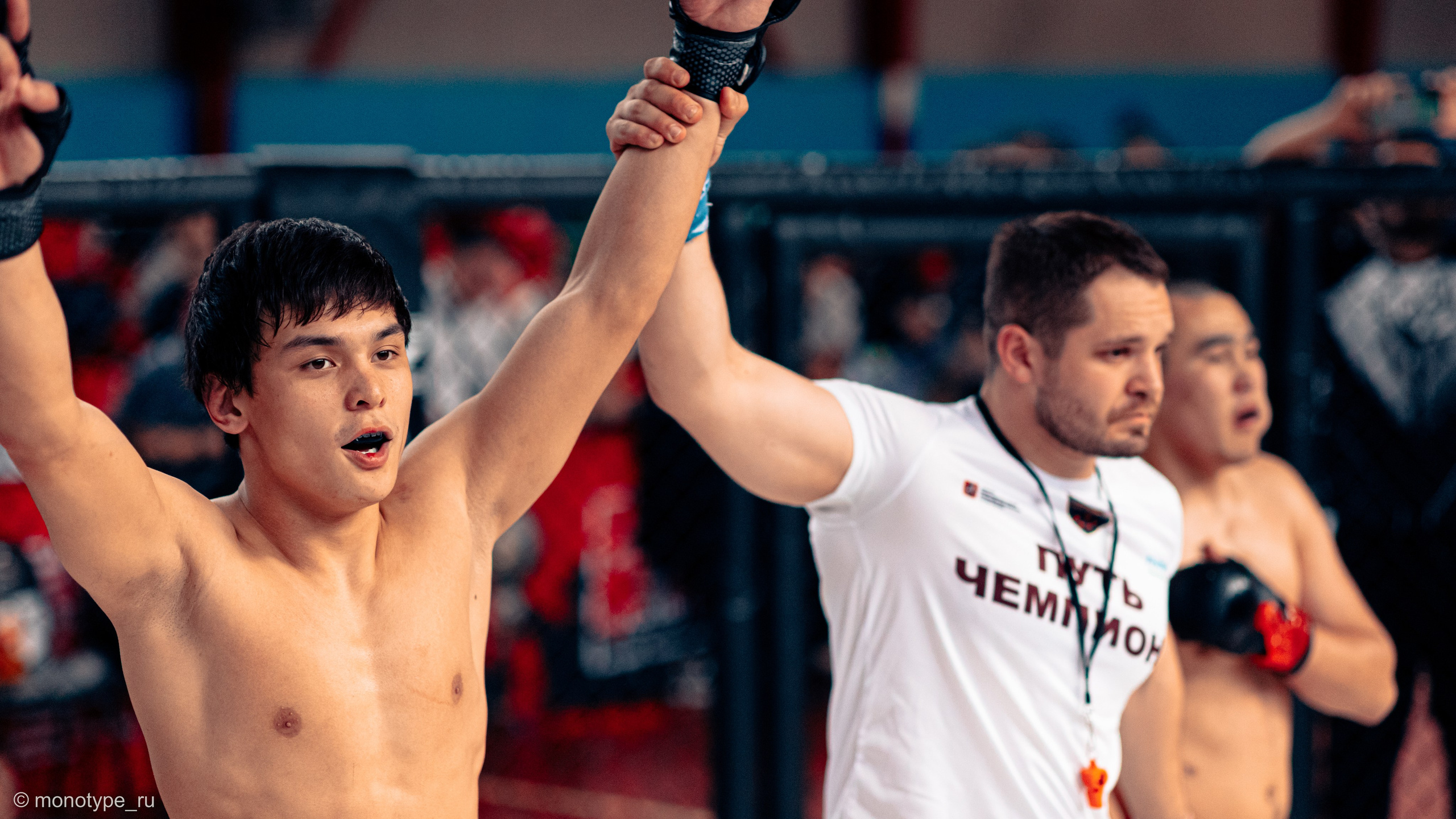 MMA. Бойцовский турнир