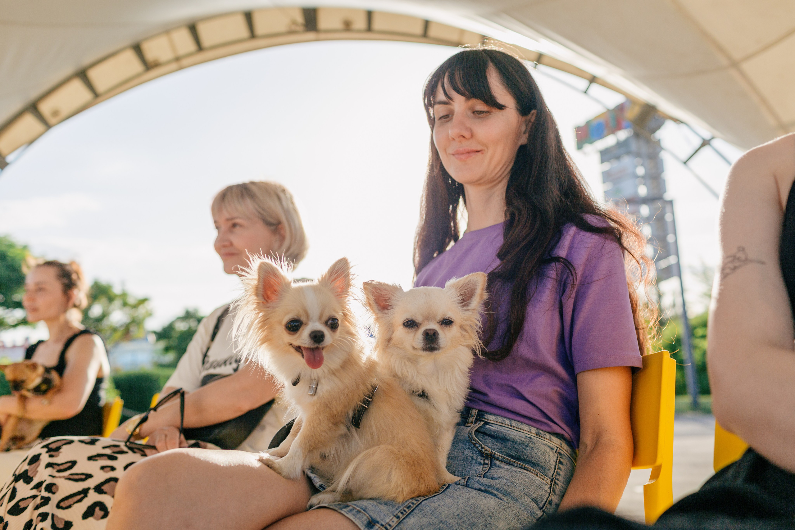 Dog Fest 2024. Главная