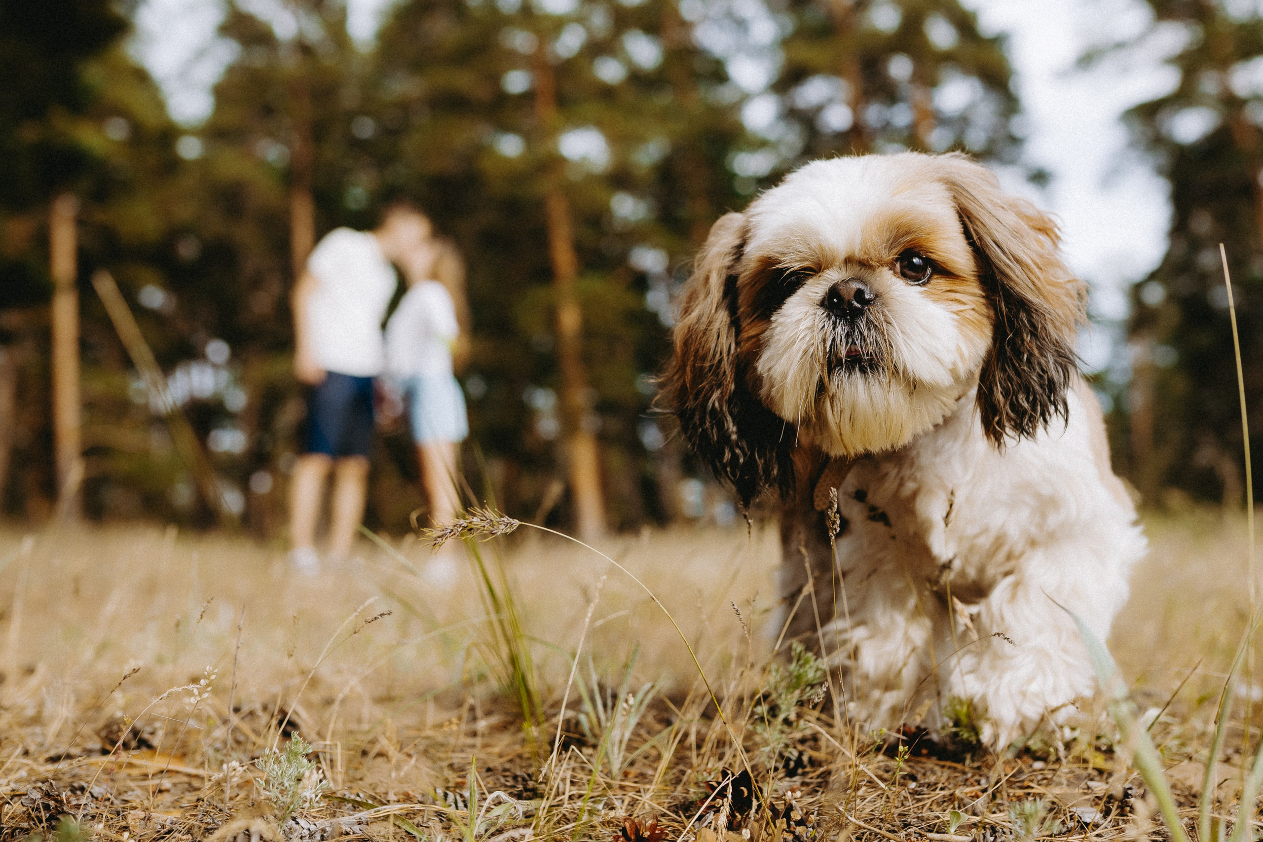 Александр и Алия. Фотограф в Саратове Александр Кухаренко. И не только в Саратове :)