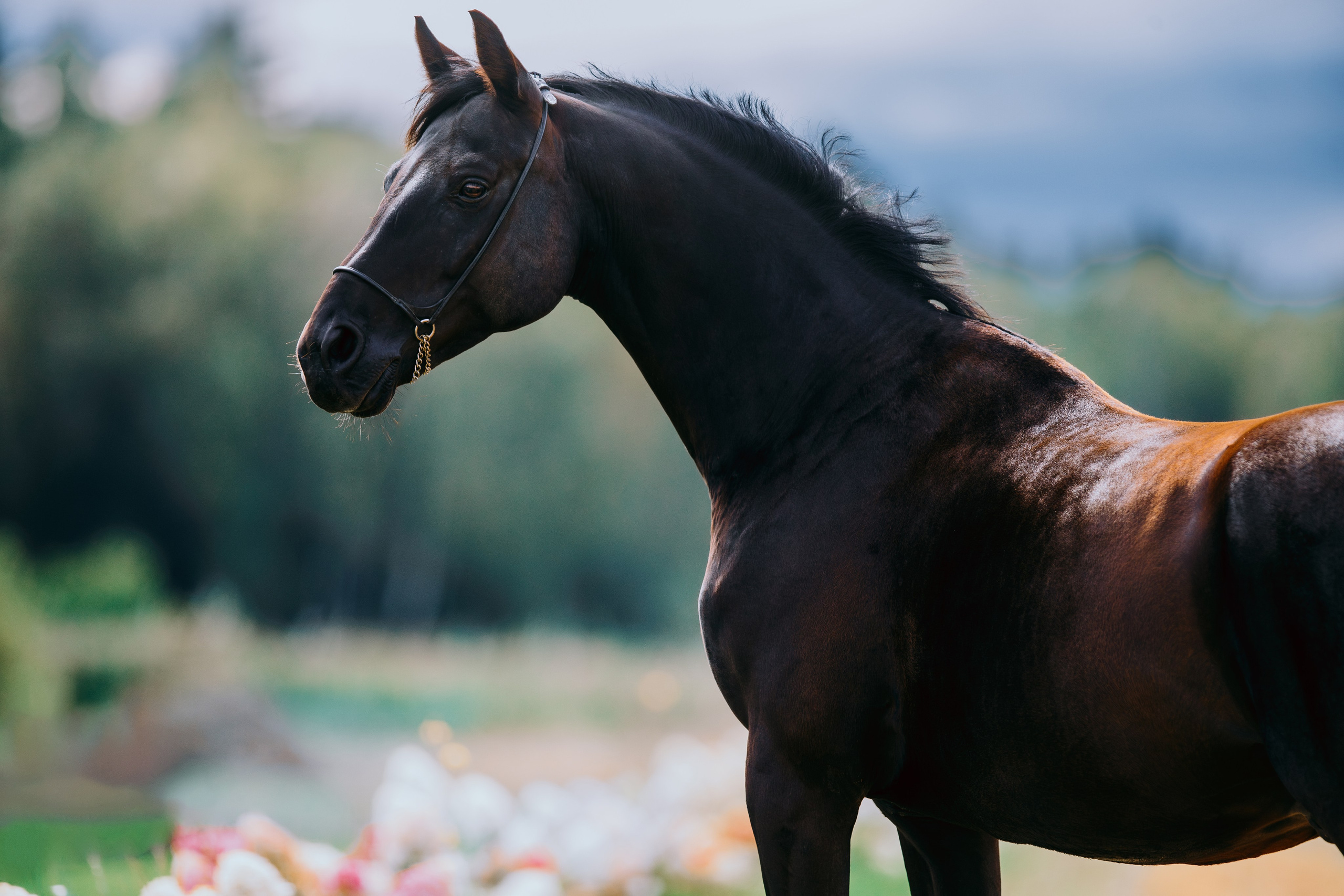 На природе. Фотограф-анималист Ксендзова Кристина