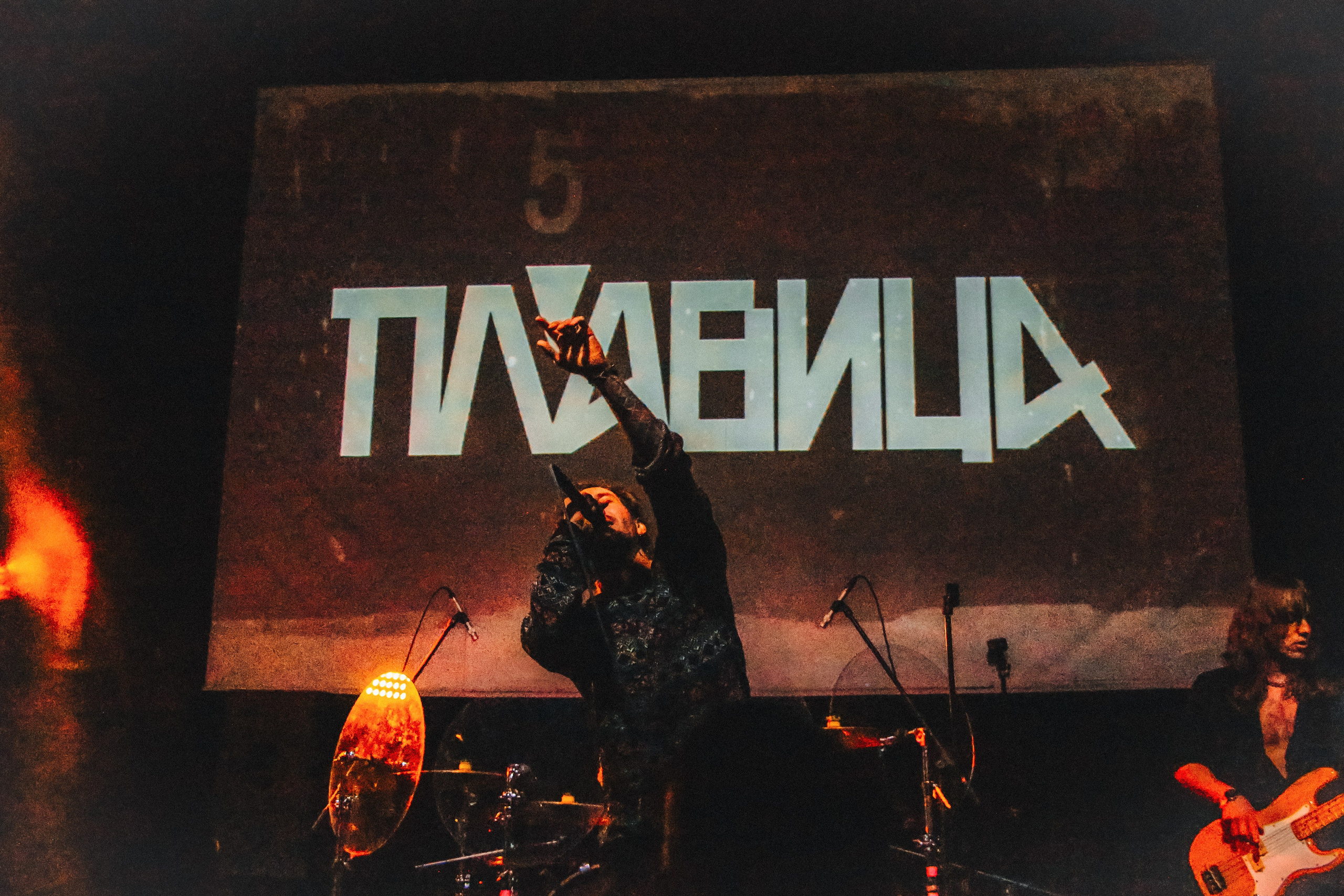 ПЛАВИЦА | ЛАСТОЧКА. Фотограф из Петербурга Софи Веритас Концерты и портреты