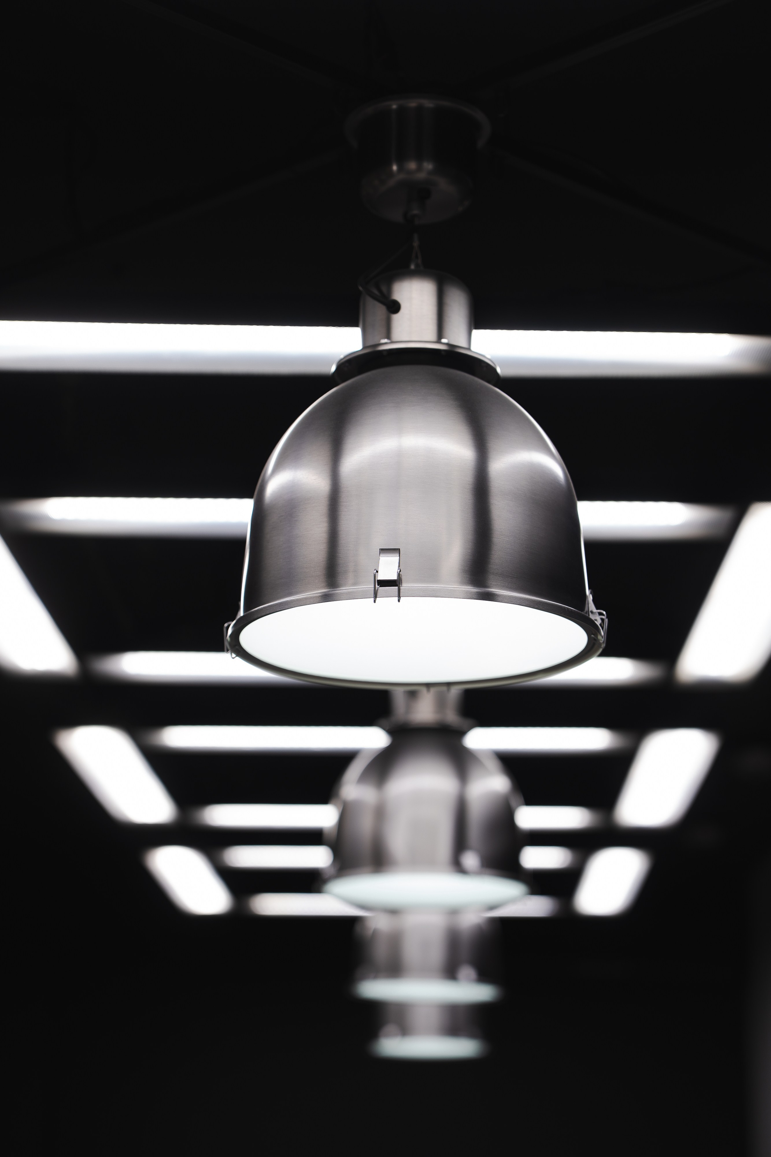 Nordmen. Фотограф Хабаровск