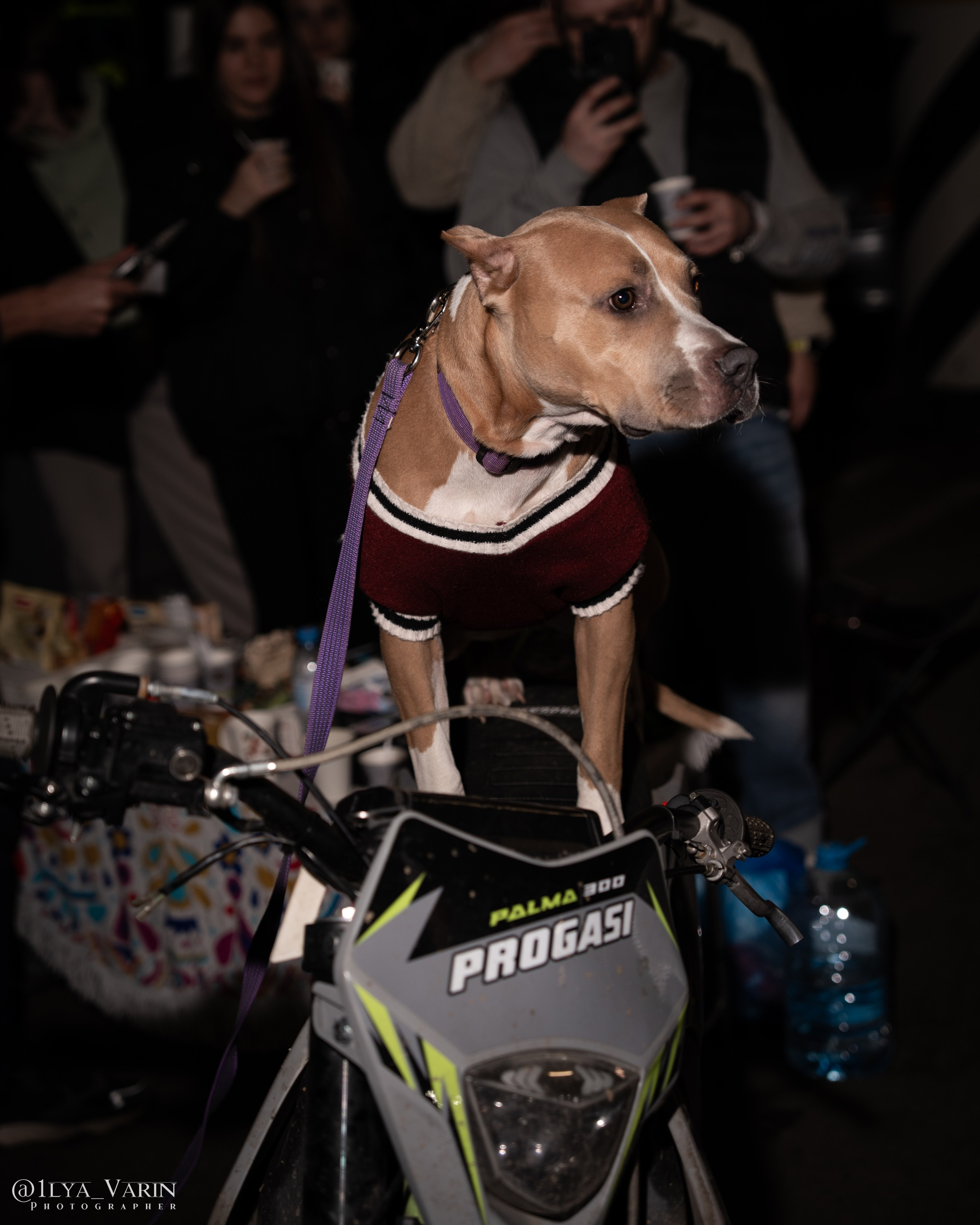 DnB 08/11/2025. TuninGGameS Media