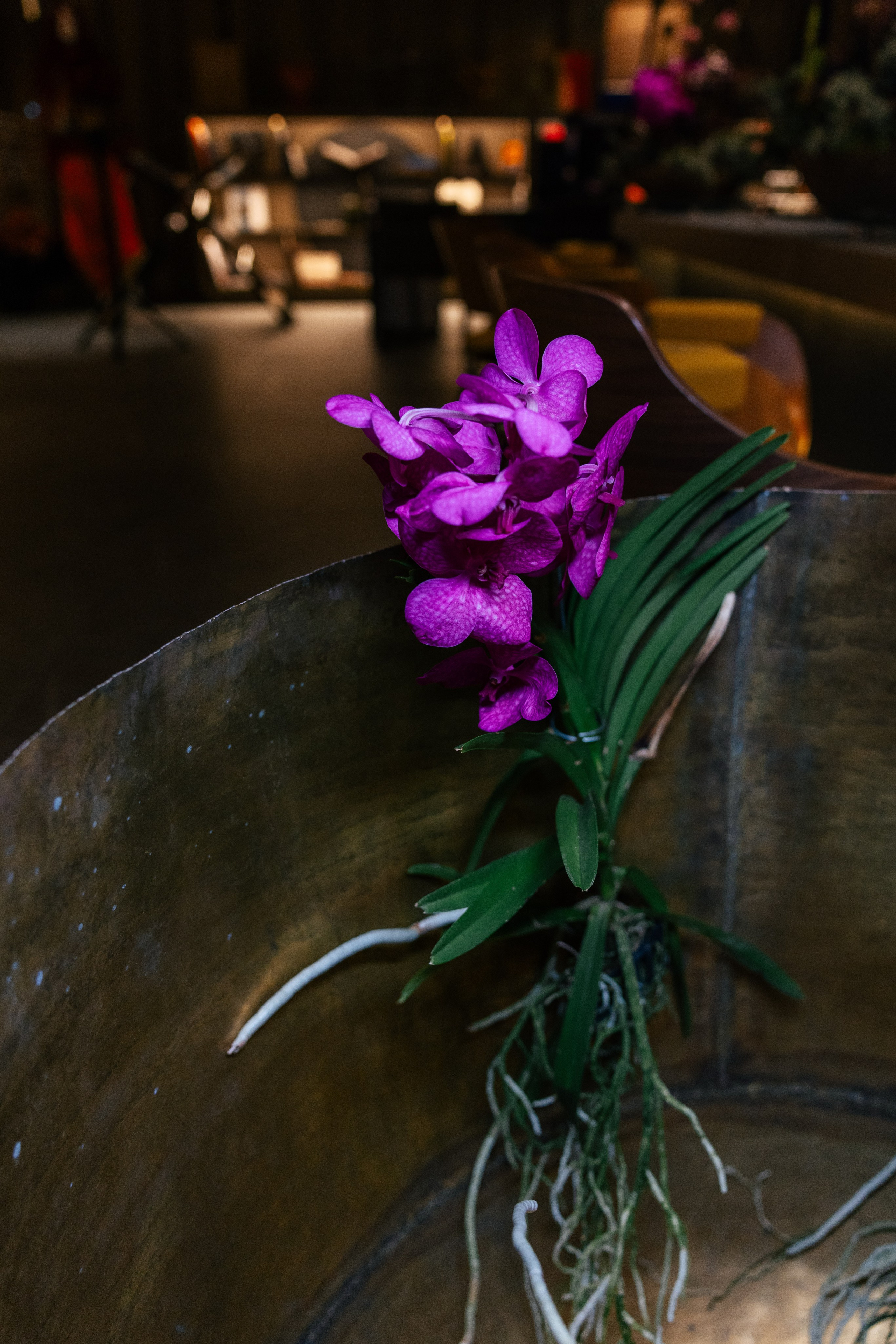 Private party Araik Galstyan & MELIÁ Barcelona Hotel. Europe Wedding Photo  — destination wedding photography across Europe and the Middle East