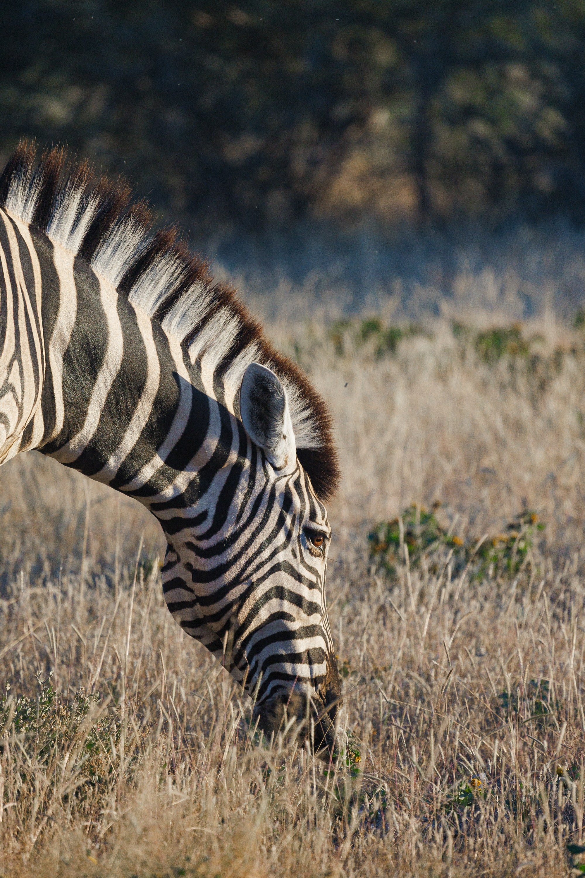 НАМИБИЯ. Роадтрип