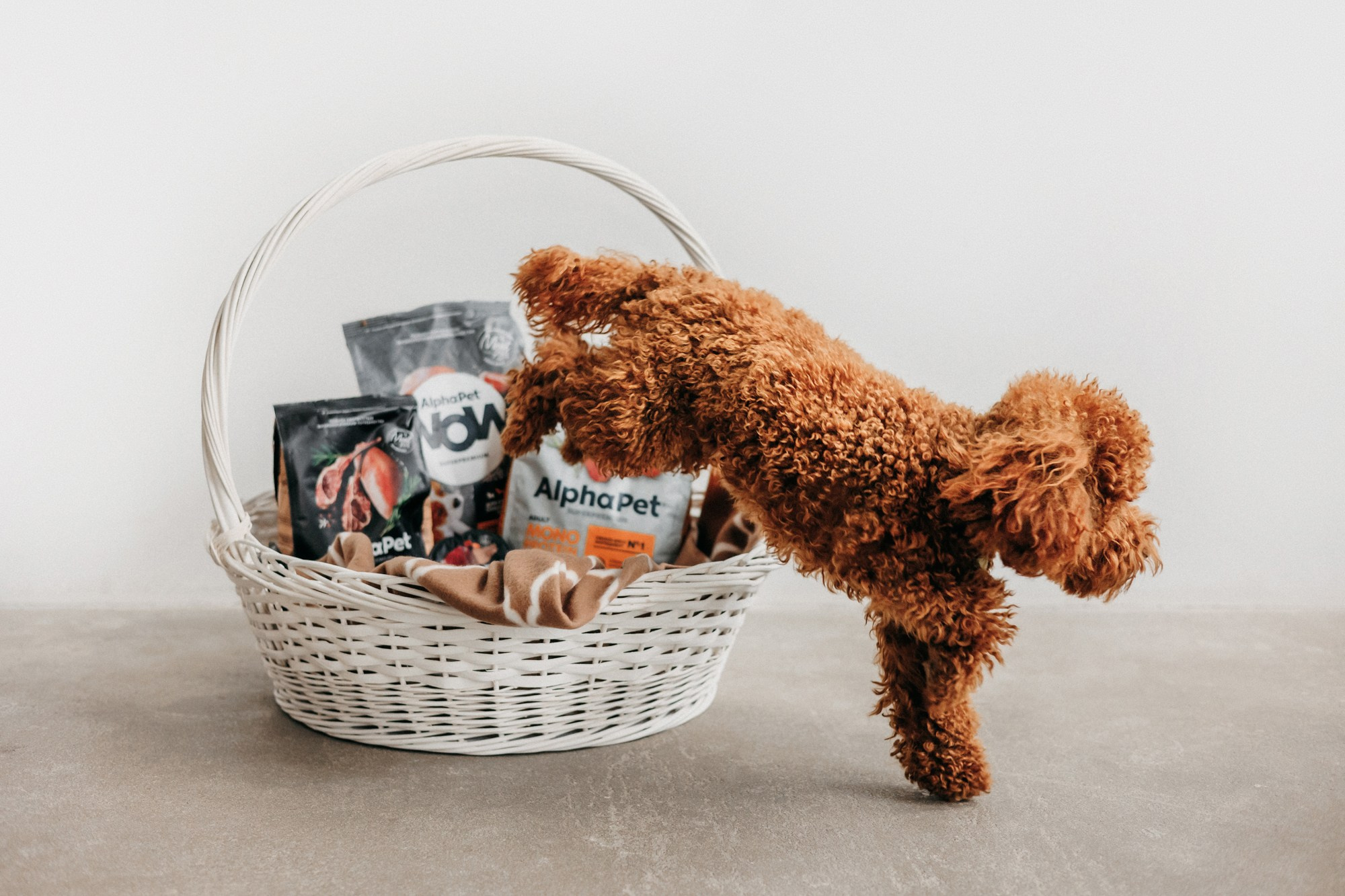 Корма Alpha Pet. Фотограф-анималист Елена Радченко, Москва