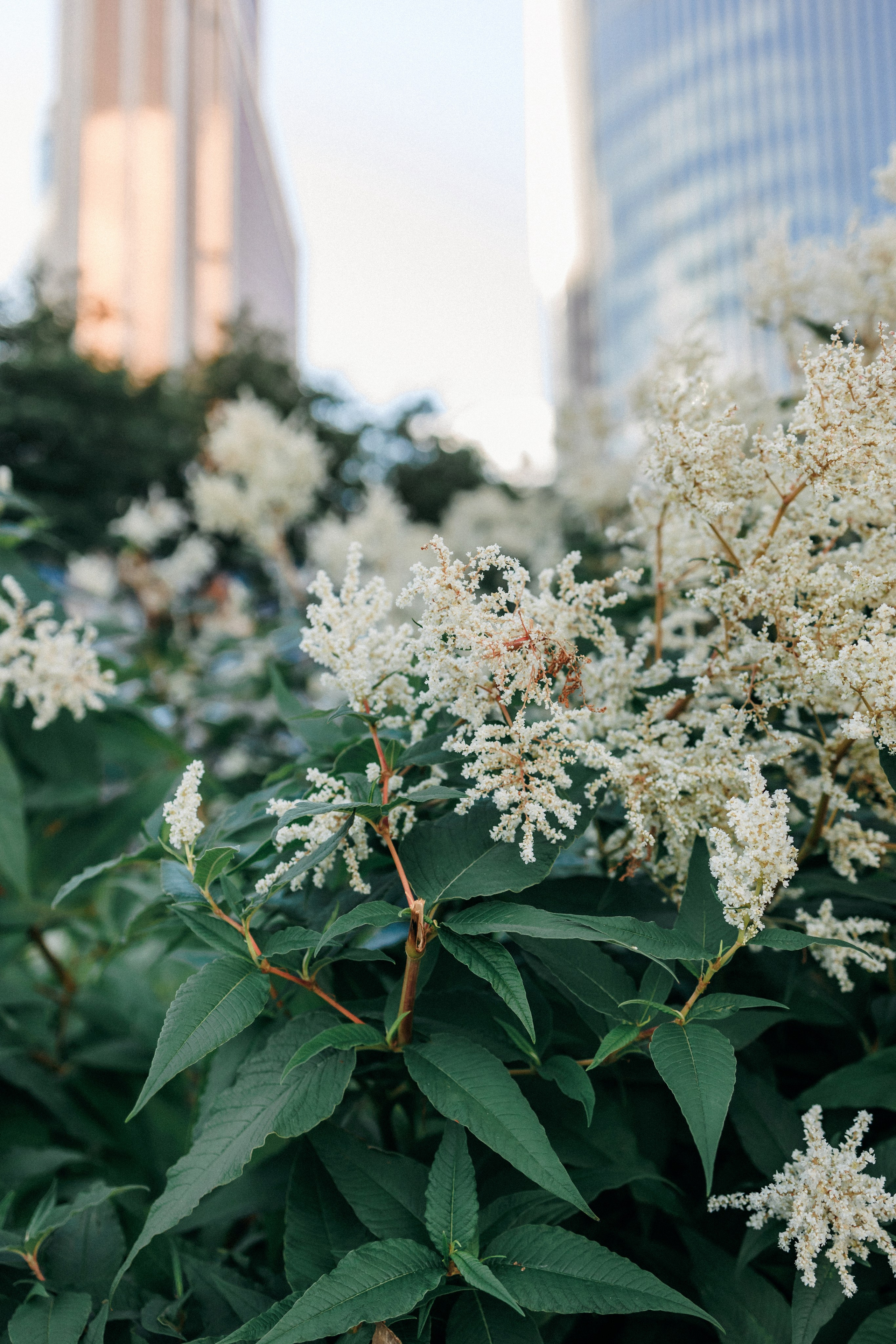 Марина, Данил и Бруно. Фотограф-анималист Елена Радченко, Москва
