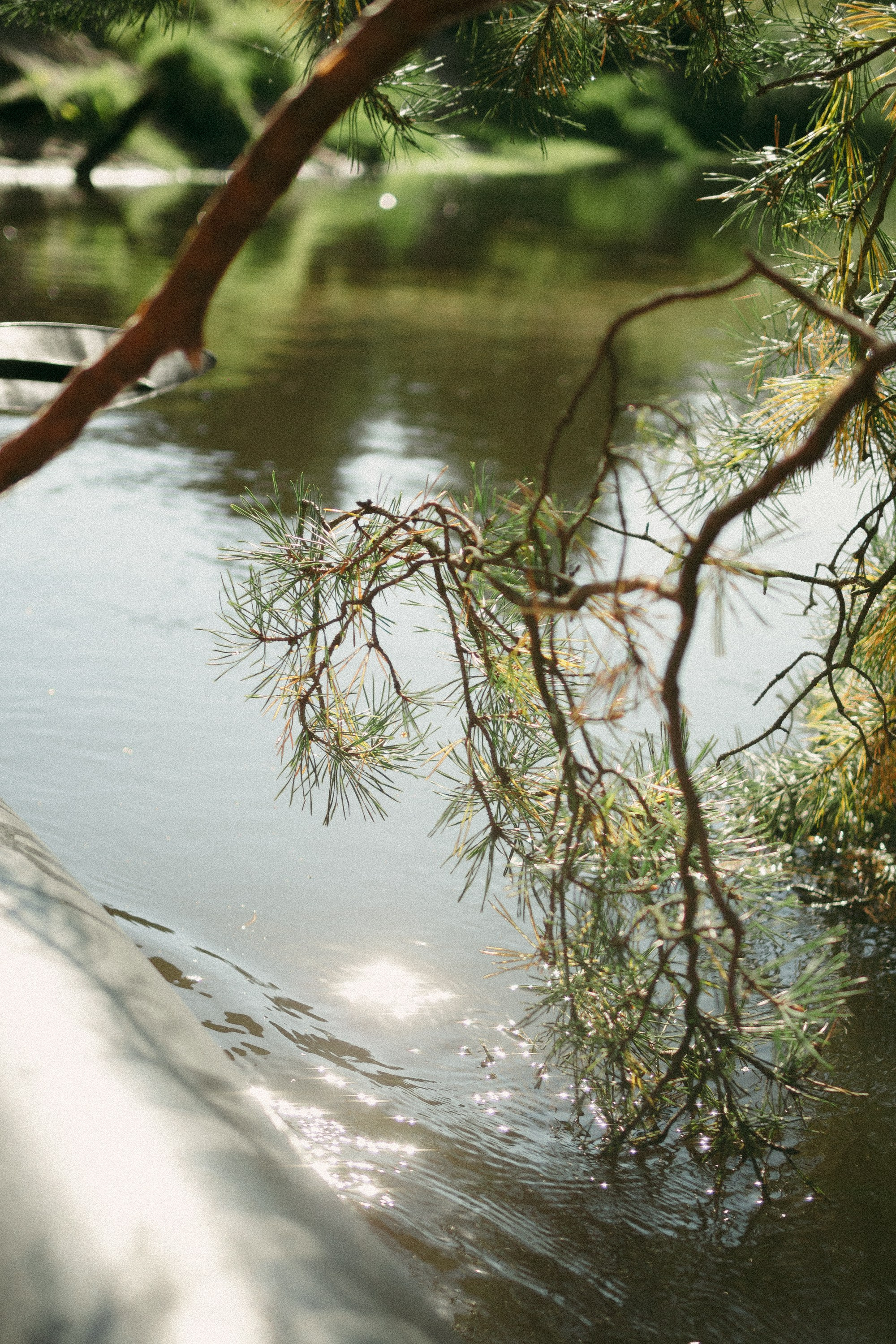 Обыкновенное чудо