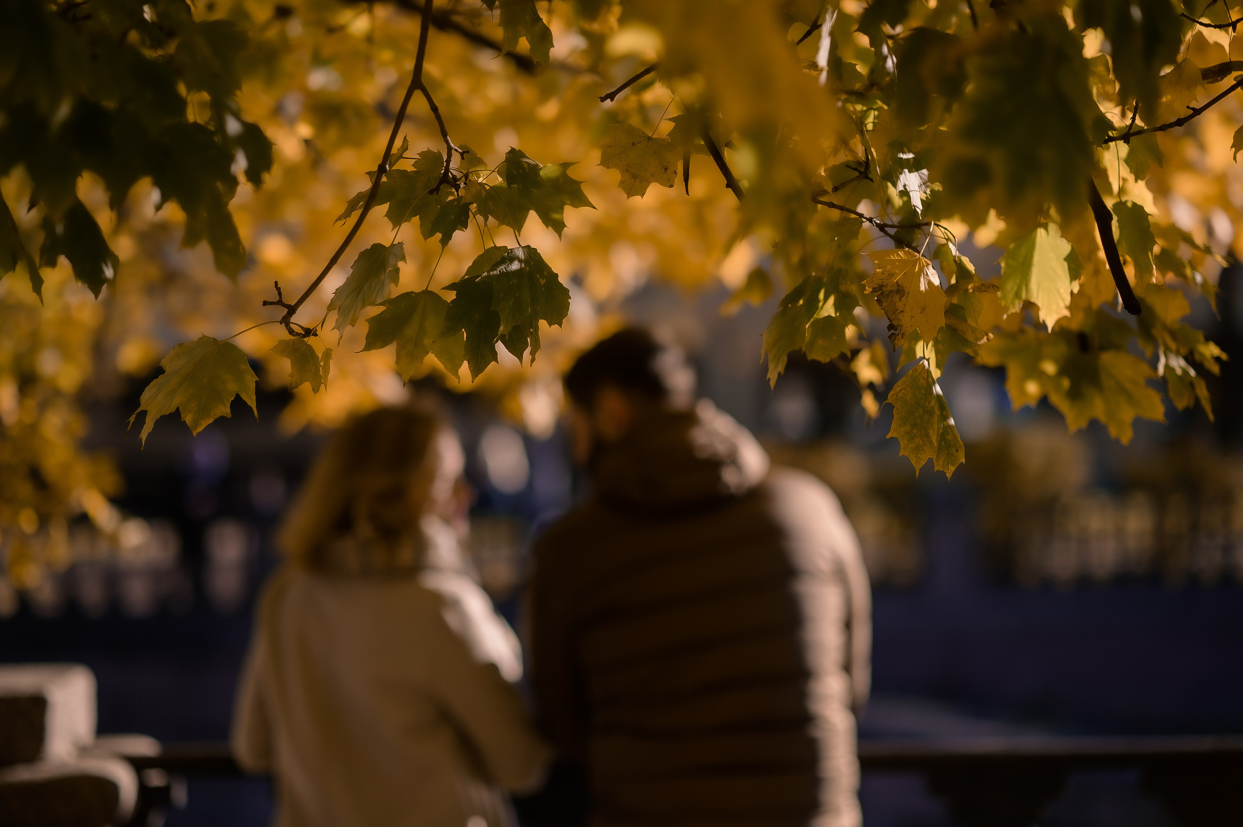 Семейная фотосессия в Санкт-Петербурге. Семейный и свадебный фотограф в Санкт-Петербурге Серафима Смирнова