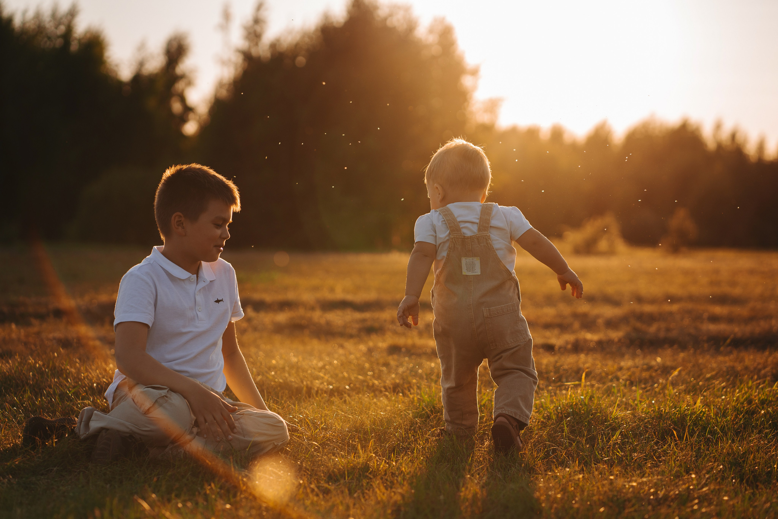 Семейные. Главная