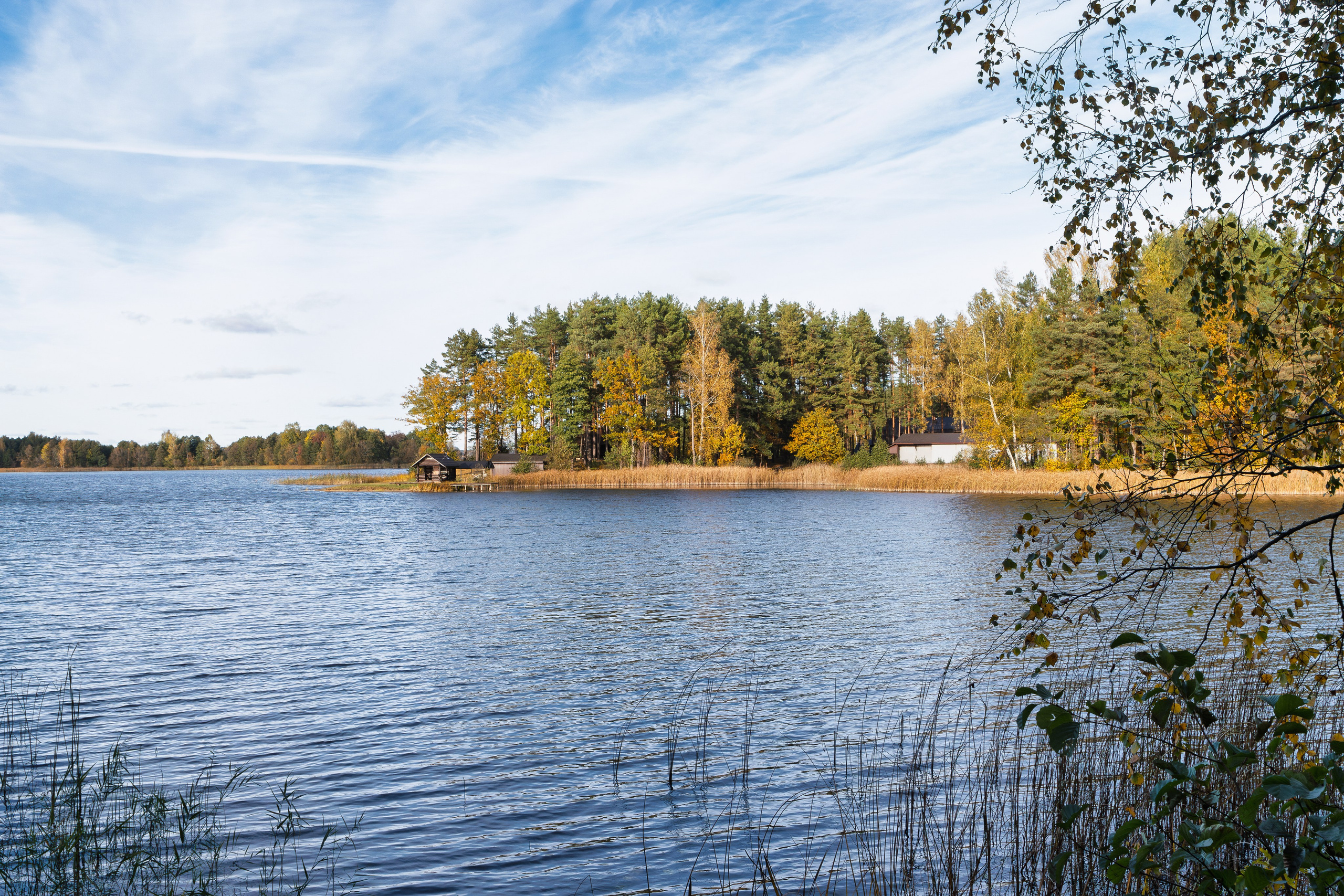 Голубые озера, Псковская область. Октябрь 2024. Фотограф Никифоров-Гордеев Сергей. Москва и МО