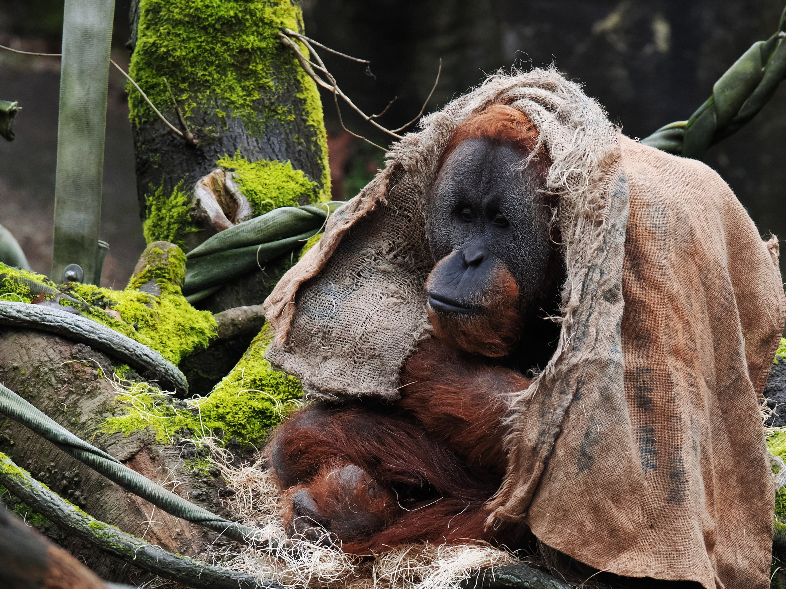 Коммерческая цветокоррекция