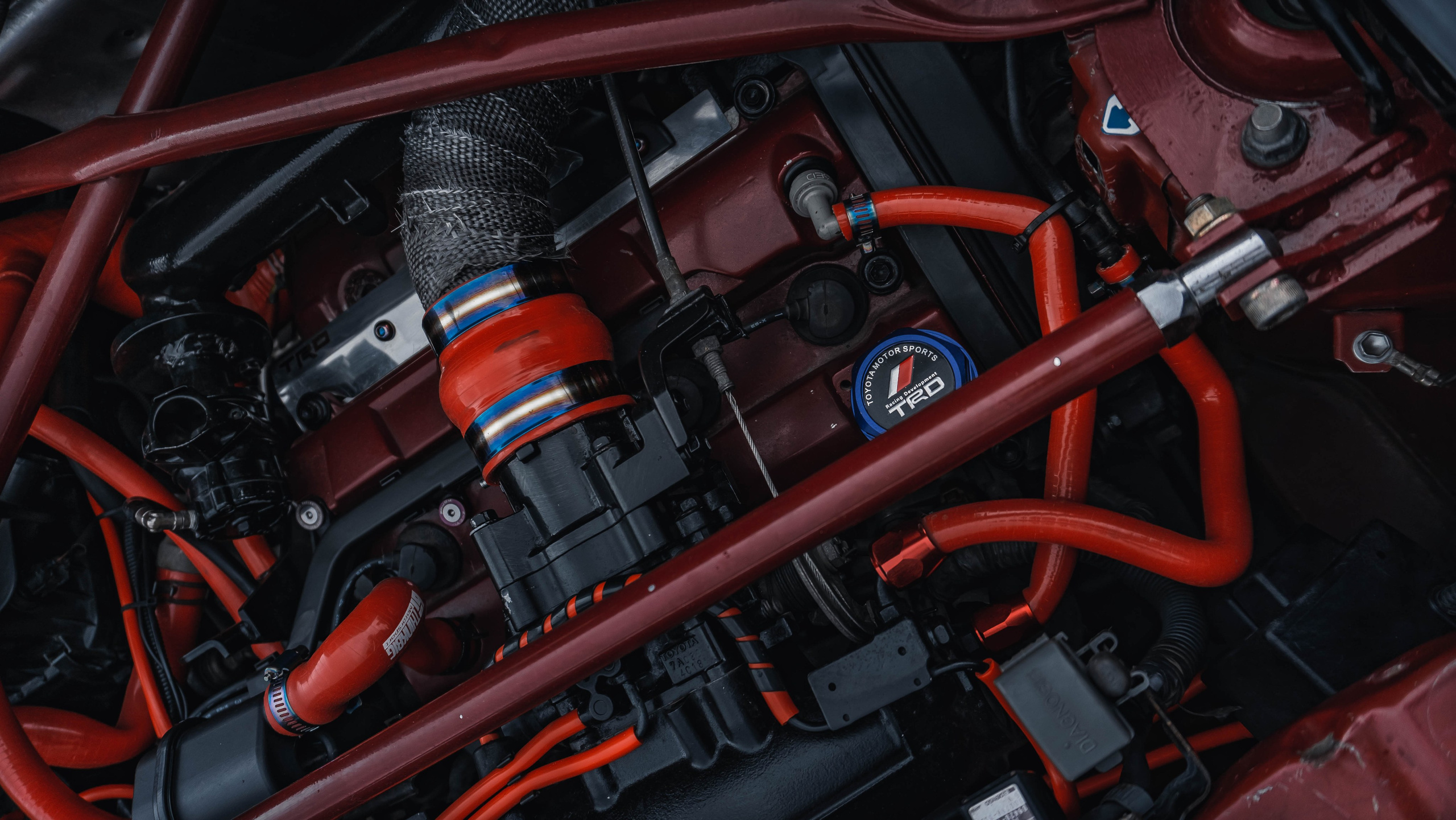 CarFestMaksi. SHDEN — Photographer | Content Creator